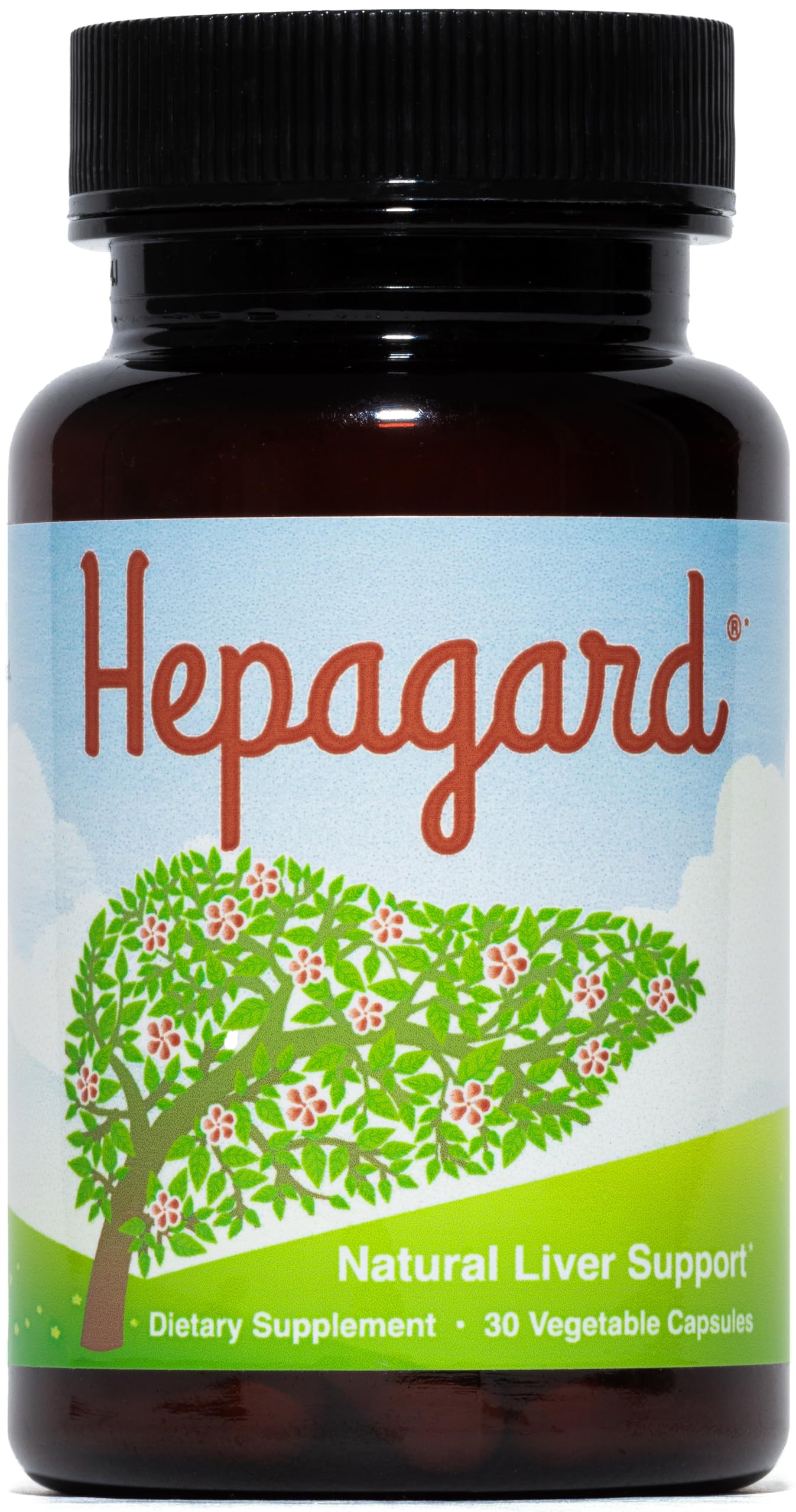 Hepagard - Natural Liver Support Supplement with N-Acetyl Cysteine (NAC) - Non-GMO, Vegan, Gluten-Free Hepagard buy supplements canada