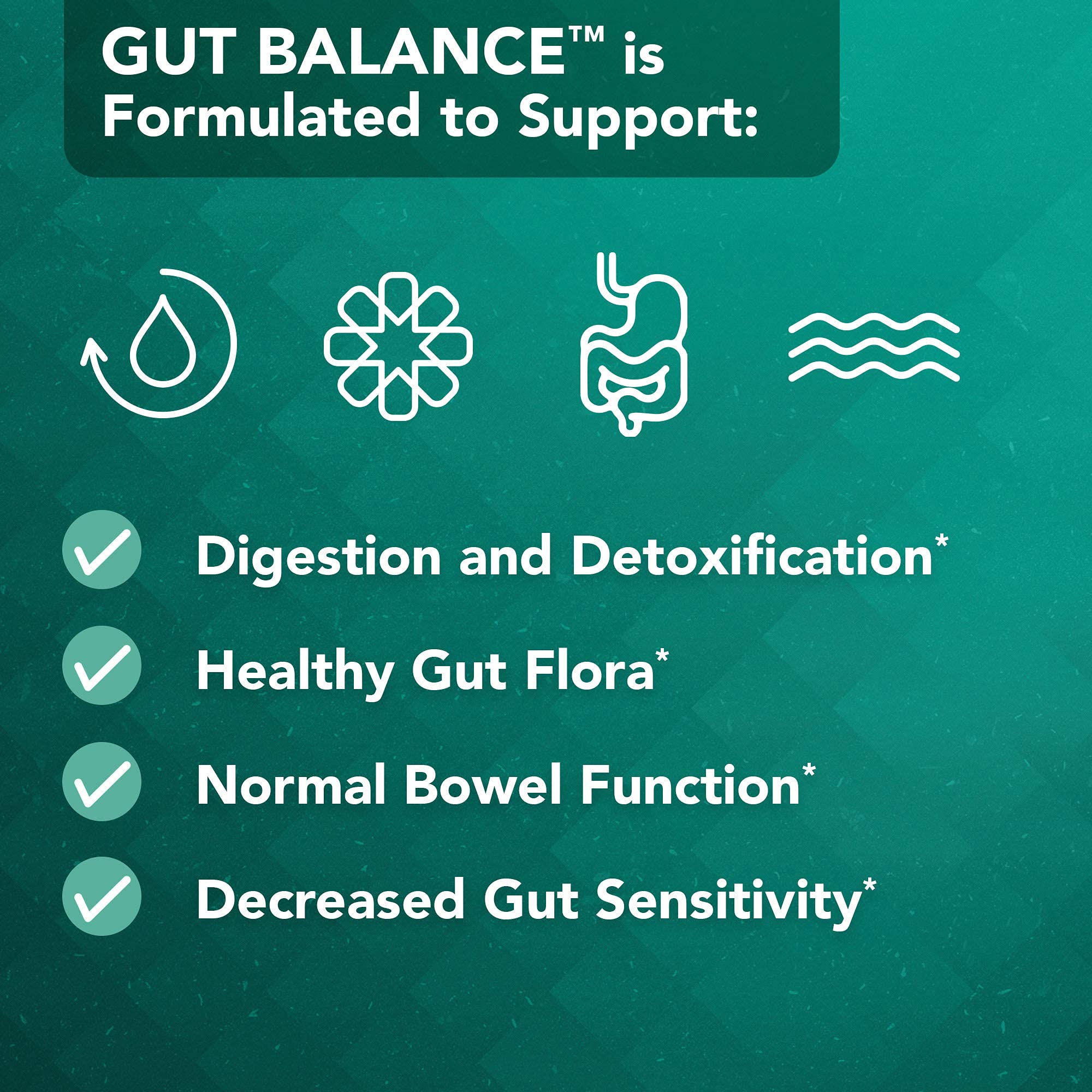 Vital Plan Gut Balance Supplement by Dr. Bill Rawls - Advanced Digestive Health Support Formula w/Clinical-Grade Slippery Elm Bark, Berberine & Dandelion Extract for Women & Men (180 Capsules) Vital Plan buy supplements canada