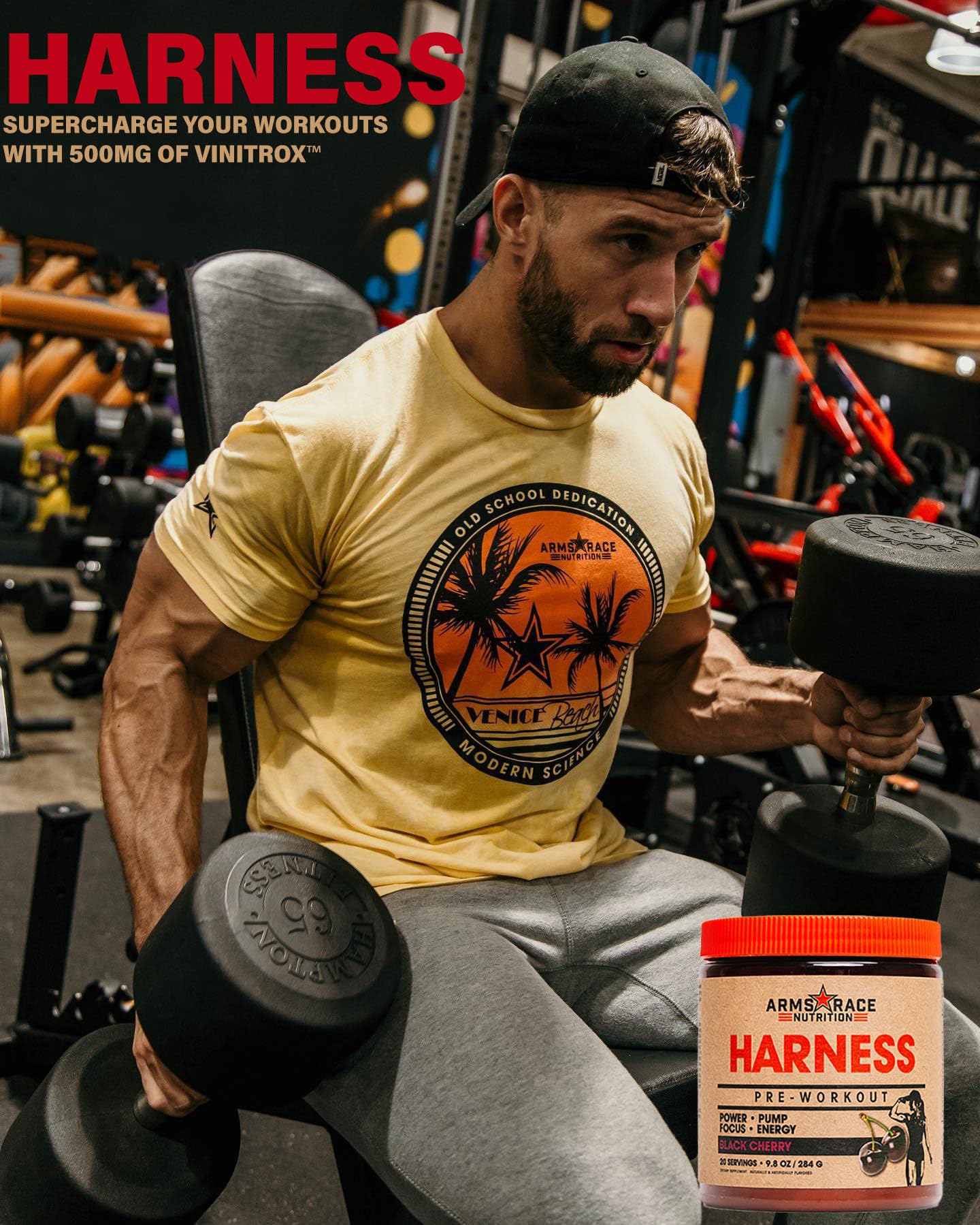 Arms Race Nutrition Harness Pre-Workout, 20 Servings (Big Sky) Arms Race Nutrition buy supplements canada