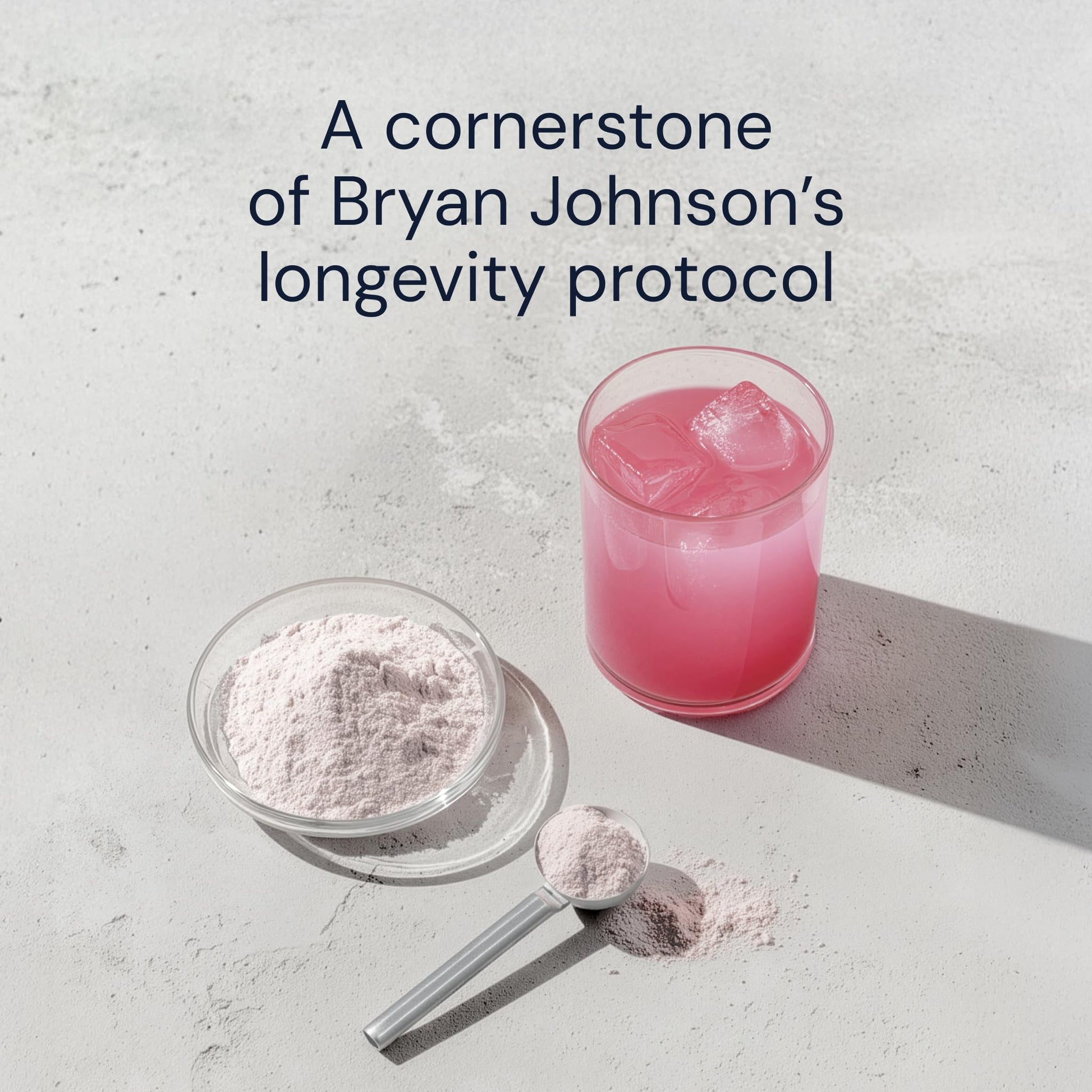 Blueprint Bryan Johnson Longevity Mix - Muscle Builder & Recovery Supplement - Promotes Focus and Balanced Mood - Magnesium, Creatine, L-Theanine Blueprint Bryan Johnson buy supplements canada