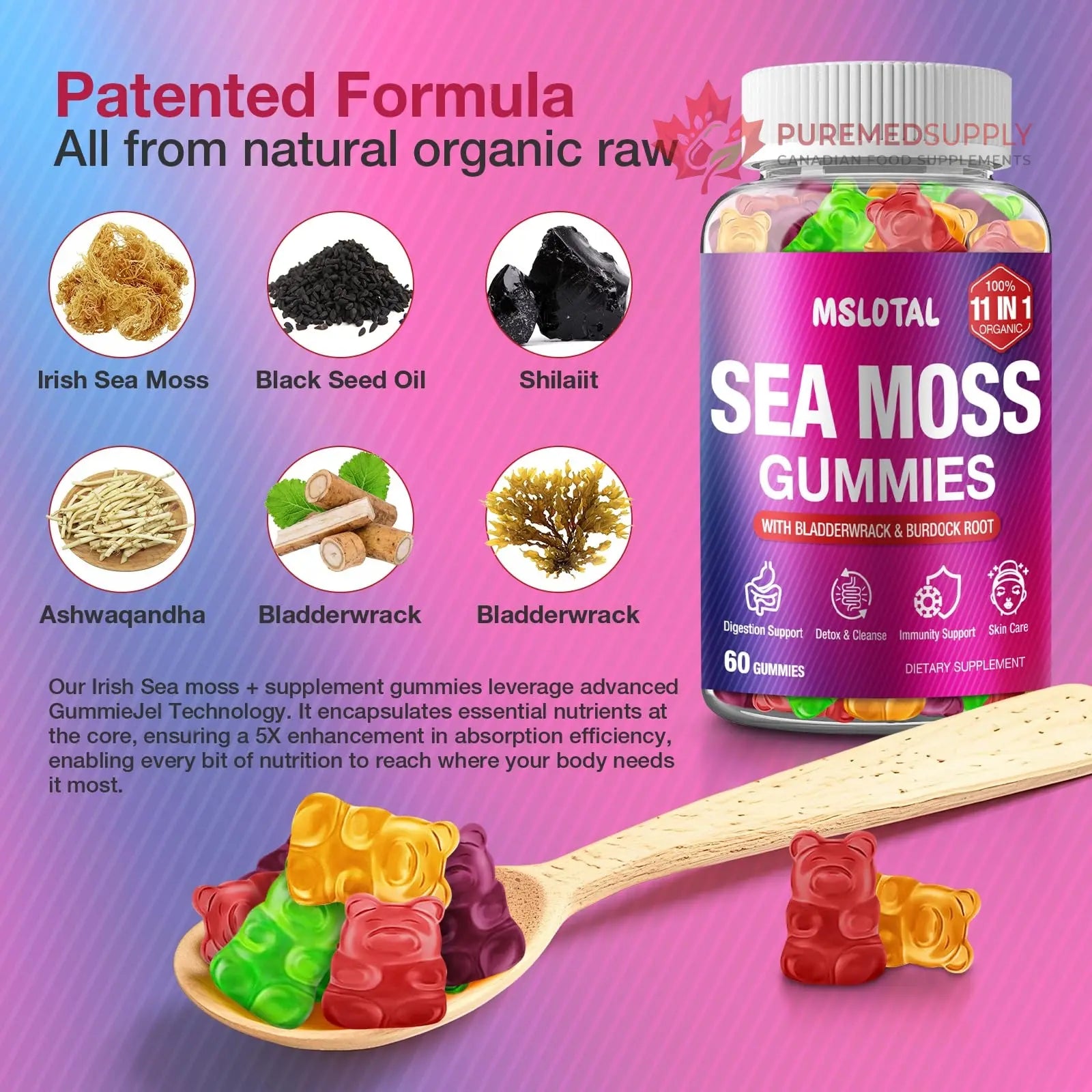 MSLOTAL Irish Sea Moss Gummies with Ashwagandha Bladderwrack and Burdock Root - Natural Irish Seamoss Supplement for Thyroid, Energy, Immune Support - 60 Vegan Gummy MSLOTAL buy supplements canada