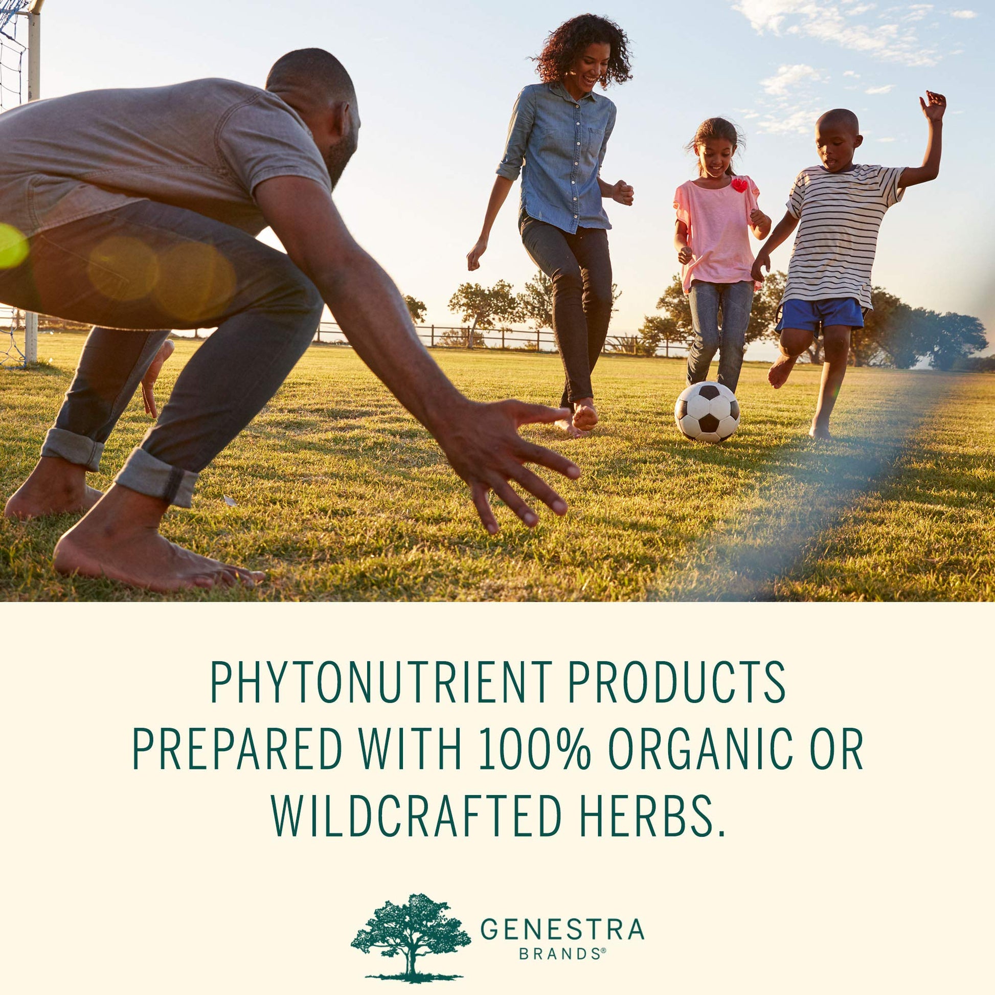 Genestra Brands Phyto Greens Capsules | Vitamins, Dietary Fiber and Enzymes for Optimum Nutrition | 180 Capsules Genestra Brands buy supplements canada