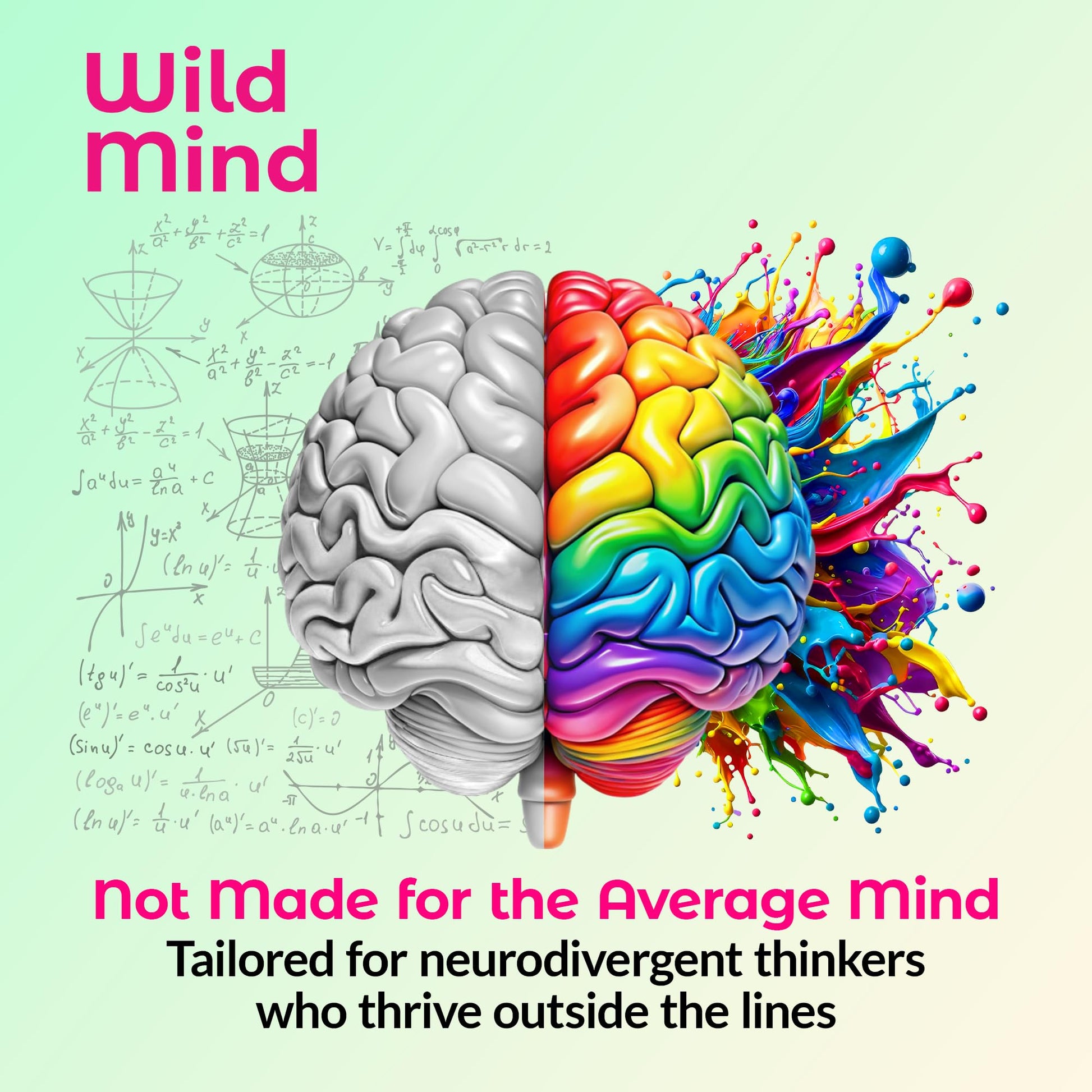 Wild Mind Mental Clarity Balanced Focus & Mood Support Supplement for Mental Wellness– 4-Ingredient Nootropic Brain Support for Calm & Energy – Vegan, 90 Capsules, 30-Day Supply Wild Mind buy supplements canada