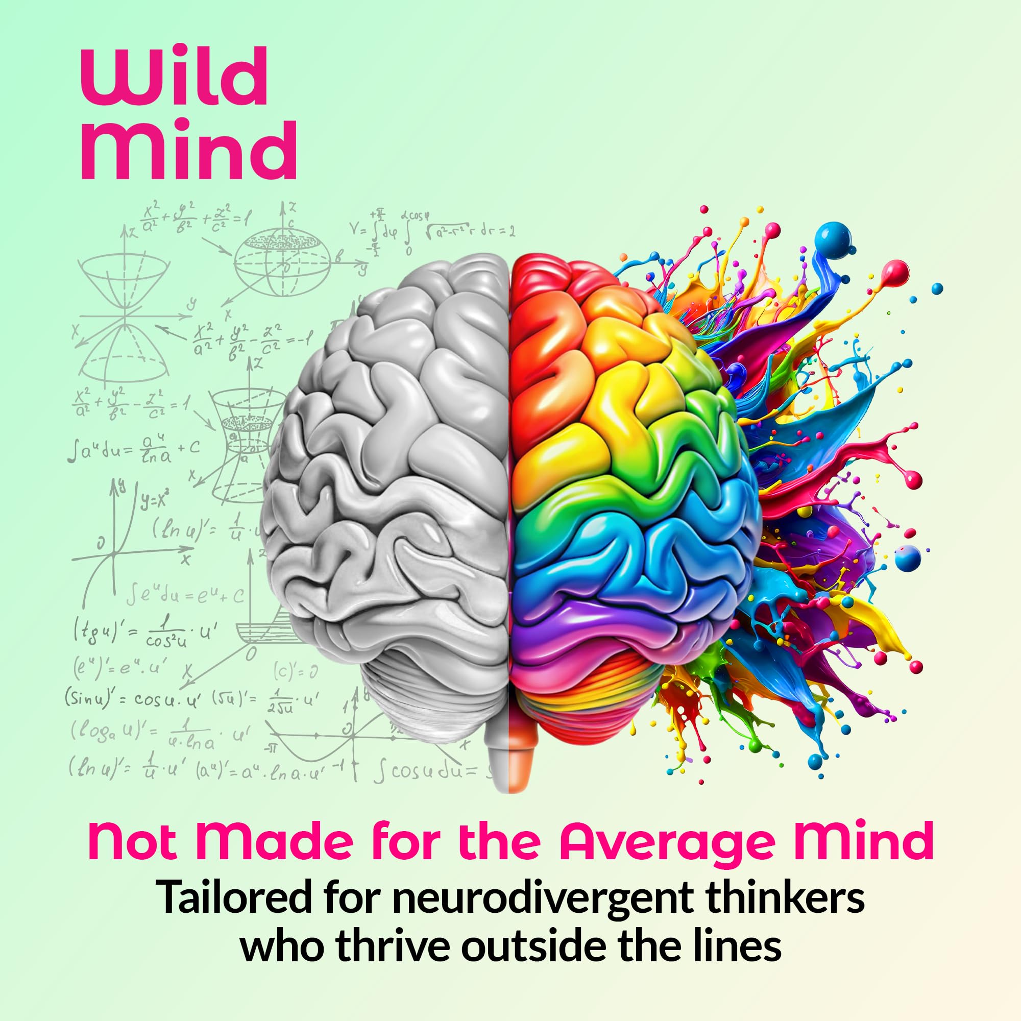 Wild Mind Mental Clarity Balanced Focus & Mood Support Supplement for Mental Wellness– 4-Ingredient Nootropic Brain Support for Calm & Energy – Vegan, 90 Capsules, 30-Day Supply Wild Mind buy supplements canada
