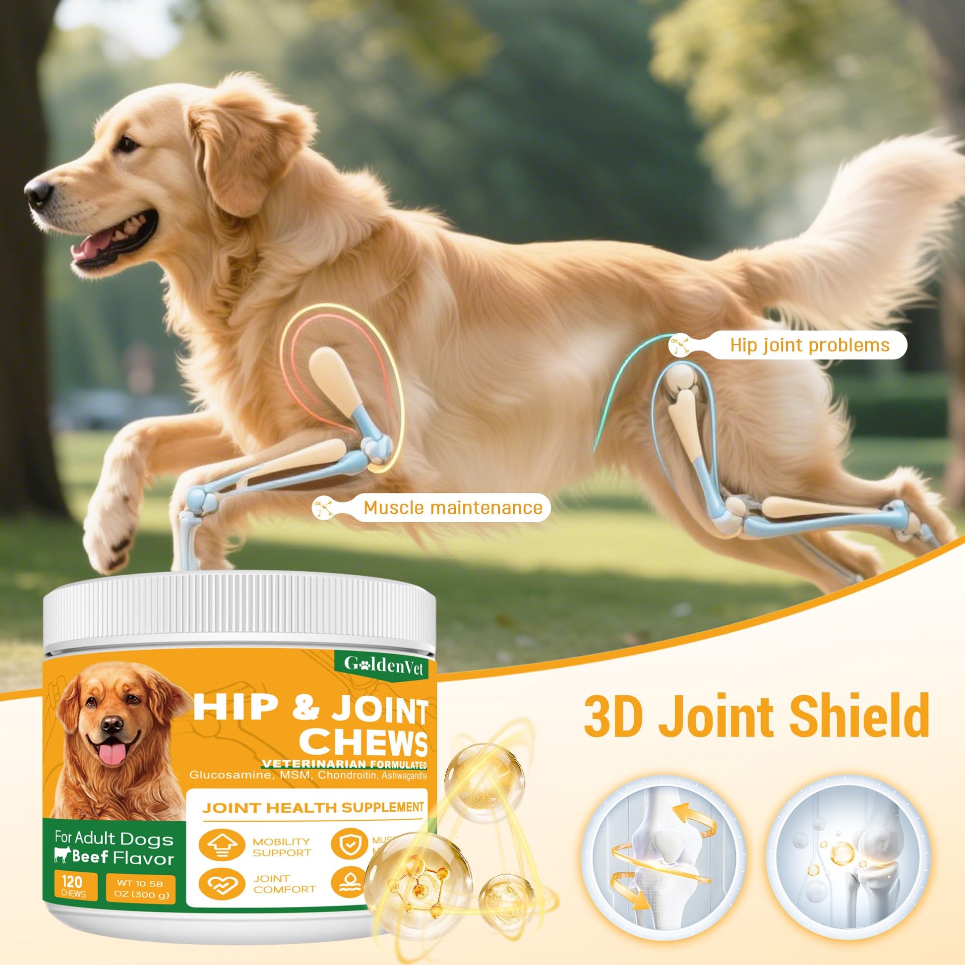 Hip and Joint Chews for Senior Dogs with Glucosamine HCL, Chondroitin, Green-lipped Mussel, Ashwagandha for Anti Inflammatory, Mobility Support, Muscle Maintenance, Joint Comfort 120 Ct GOLDENVET buy supplements canada
