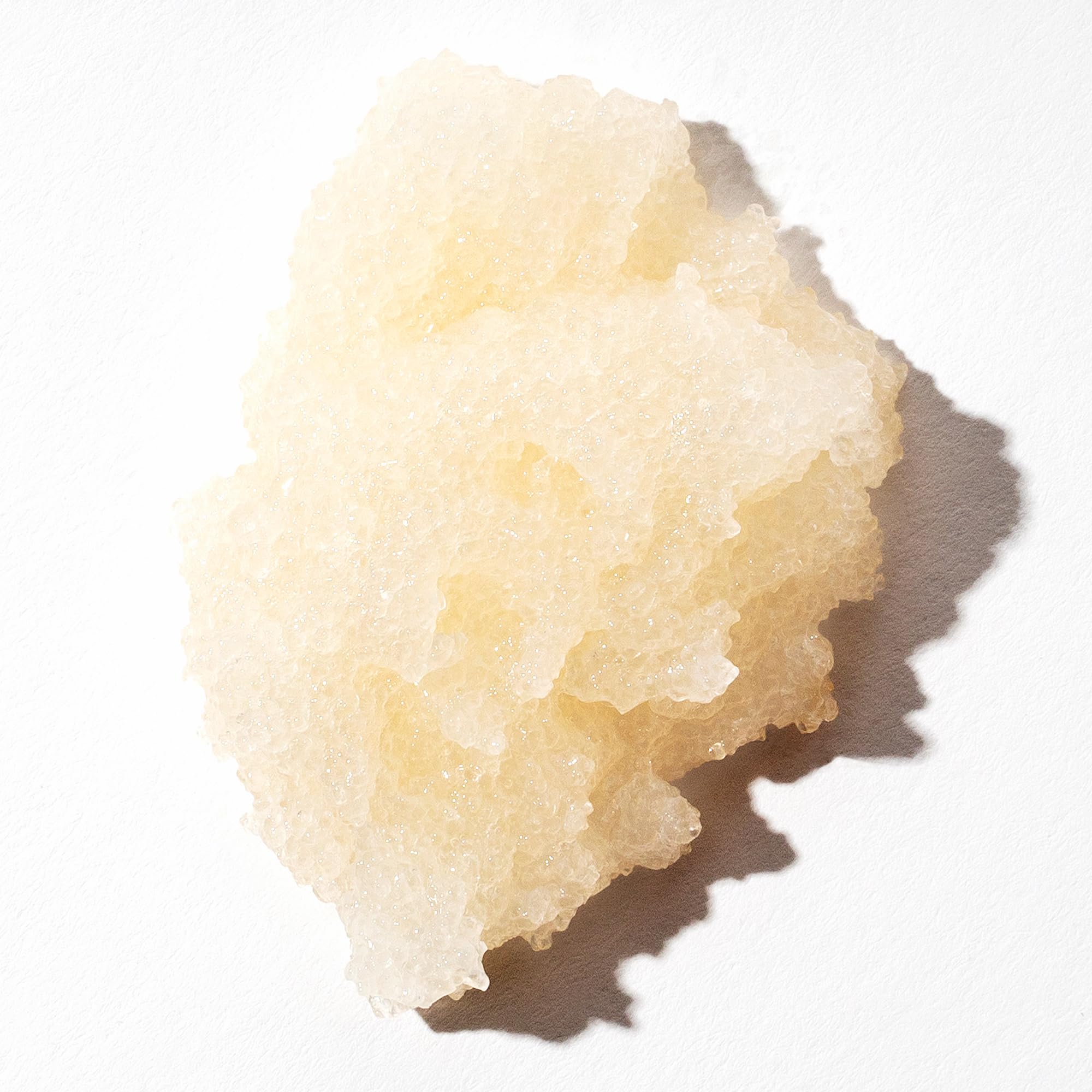 OUAI Scalp & Body Scrub Travel Size, Melrose Place - Exfoliating Body Scrub with Sugar & Coconut Oil Blend for Smooth, Moisturized Skin - Gentle for Removing Product Build Up (3.4 Oz) OUAI buy supplements canada