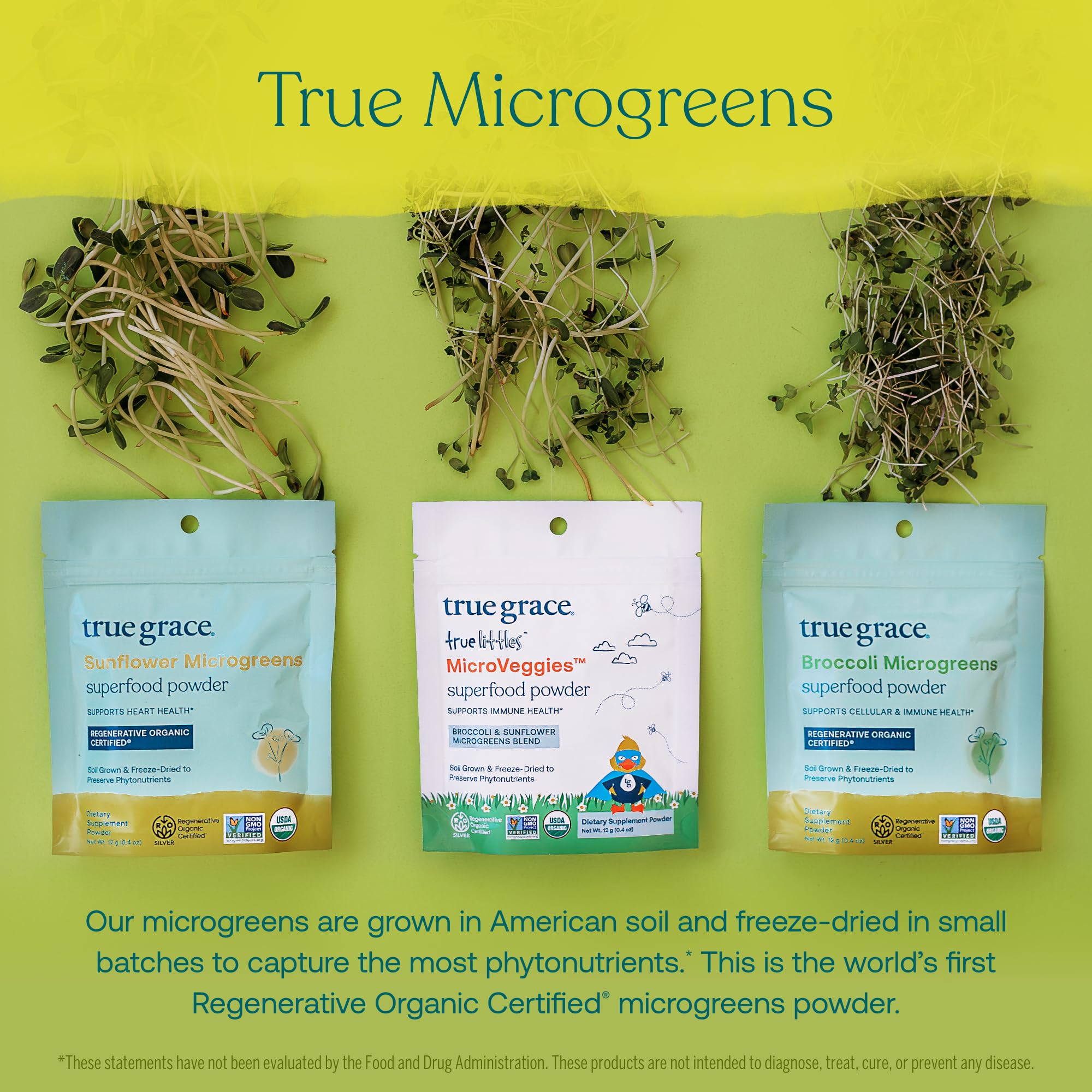 True Grace True Littles MicroVeggies - 0.4 oz - Kids Daily Superfood Powder for Immune Health - Gluten & Soy Free, Vegan, Regenerative Organic Certified - 30 Servings True Grace buy supplements canada
