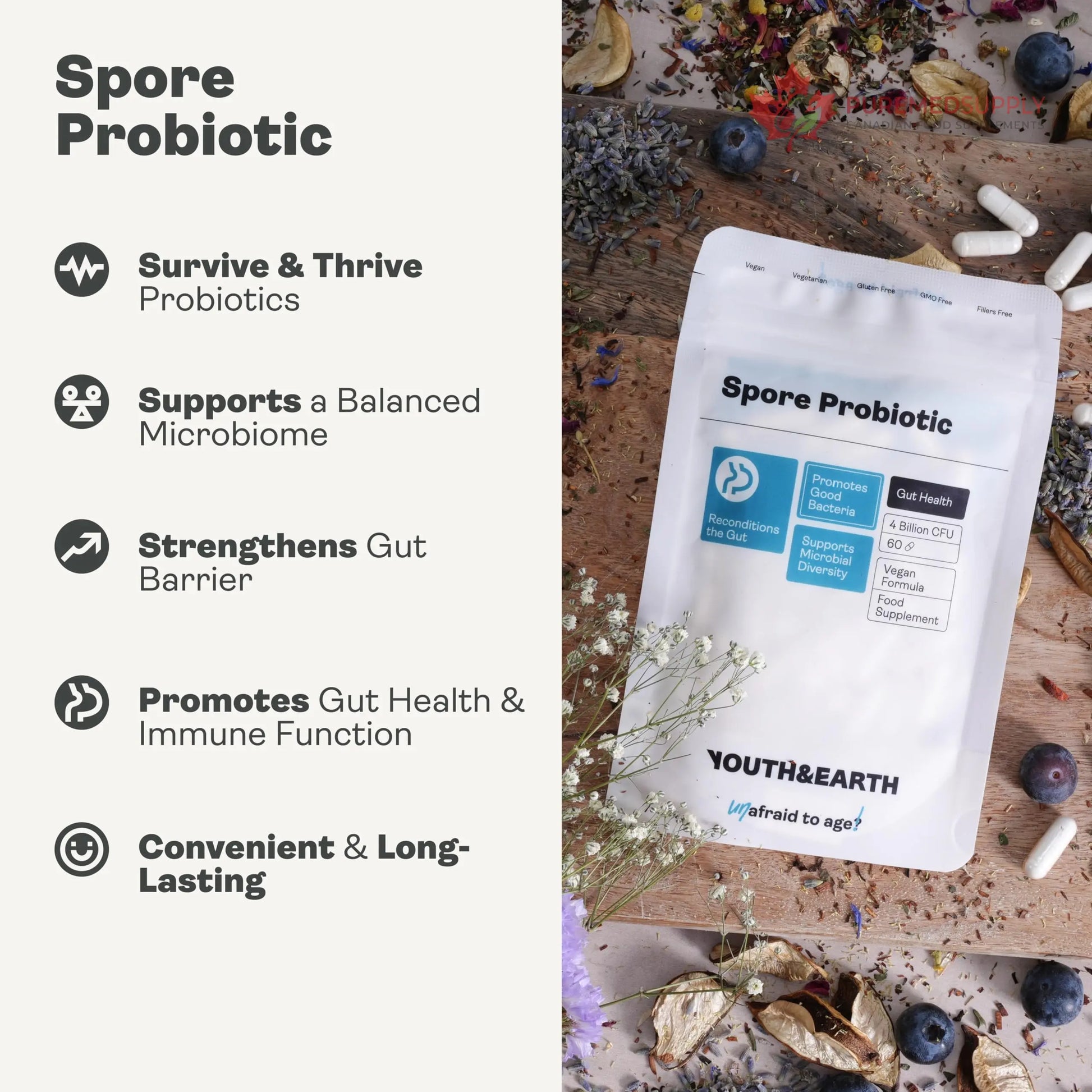 Youth & Earth Spore Probiotics 4 Billion CFU Count - Probiotics for Gut Health & Immune Support | Gut Health Supplements for Digestive Health | 60 Capsules Youth & Earth buy supplements canada