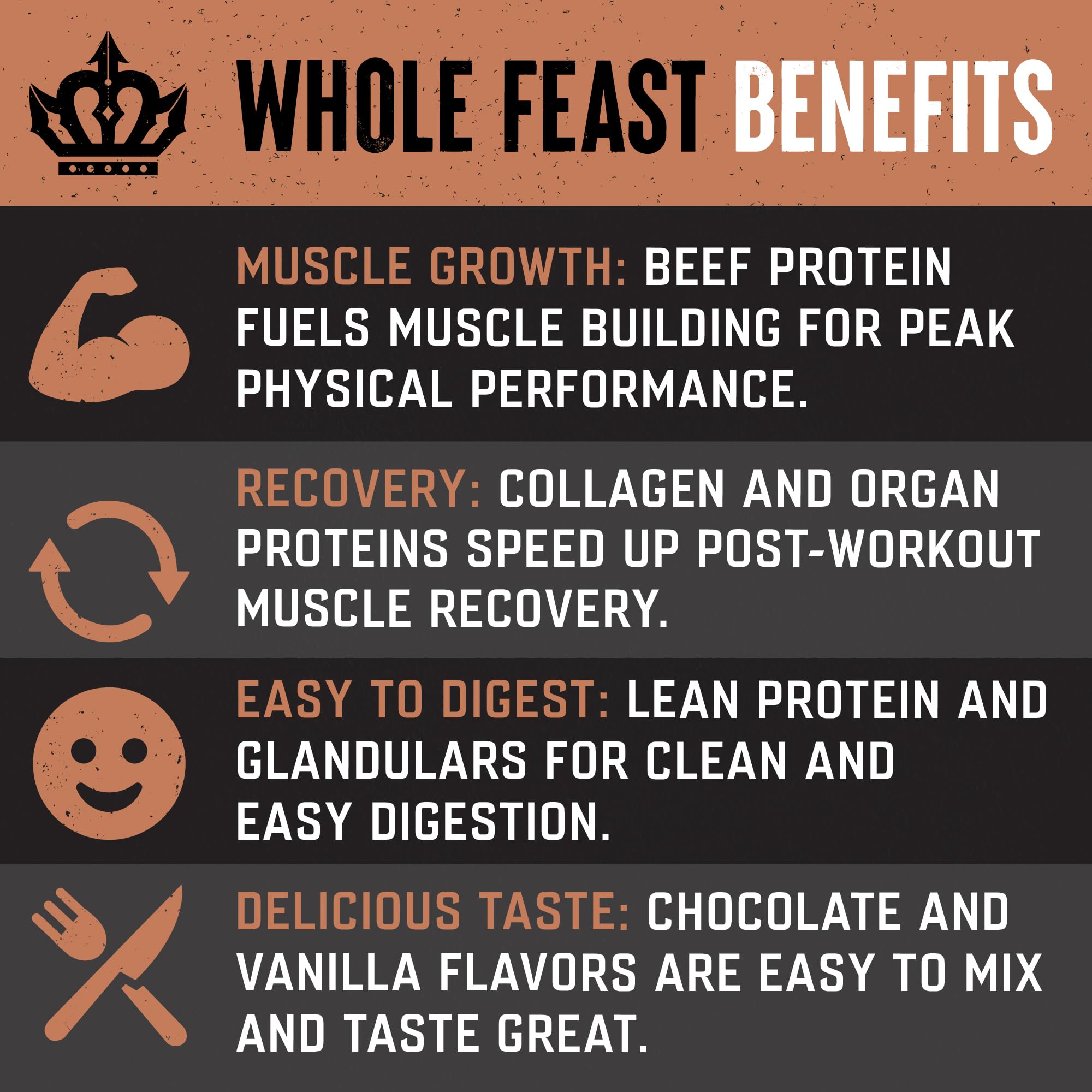 The Fittest Whole Feast Beef Protein Powder - Milk Chocolate - Grass Fed Nose to Tail Carnivore Blend Including Liver, Colostrum and Whole Bone - BCAAs - 14g Collagen, 21g Total Protein The Fittest Ever buy supplements canada
