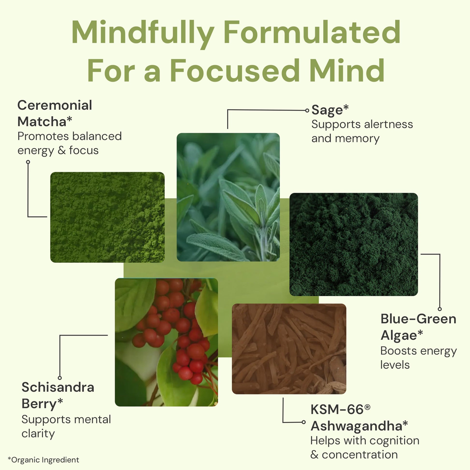 ION* Intelligence of Nature Focused Mind Nootropic Powder Drink Mix - Brain Boost Nootropic Drink with Matcha for Memory, Focus & Relaxation, Brain Supplement for Men & Women, Adults - 20 Packets ION* Intelligence of Nature buy supplements canada