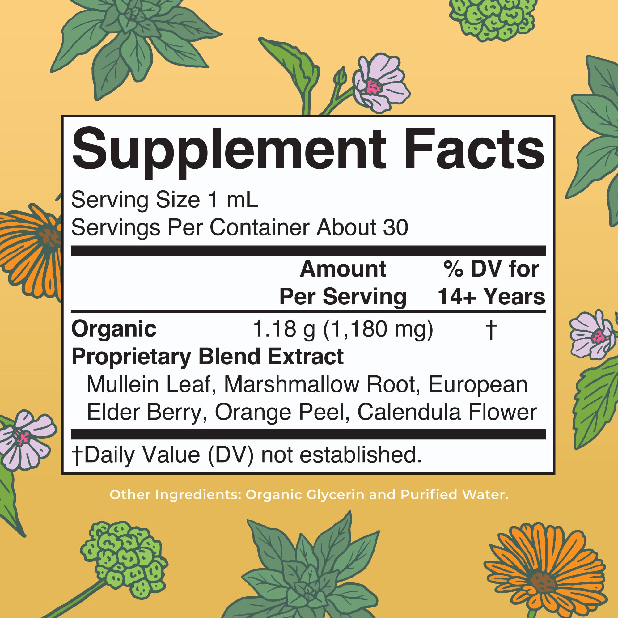 MaryRuth Organics USDA Organic Respiratory Health Liquid Drops with Mullein Leaf | Marshmallow Root & Elderberry | Mullein Drops for Lungs Herbal Blend | Immune Support Supplement | Vegan | 1 Fl Oz MARYRUTH'S buy supplements canada