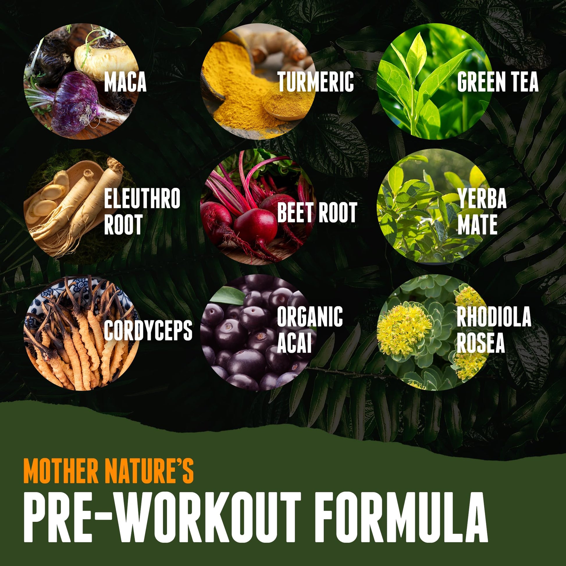 Organic Muscle Superfood Pre Workout Powder for Men & Women, Lemon Berry Organic Muscle buy supplements canada