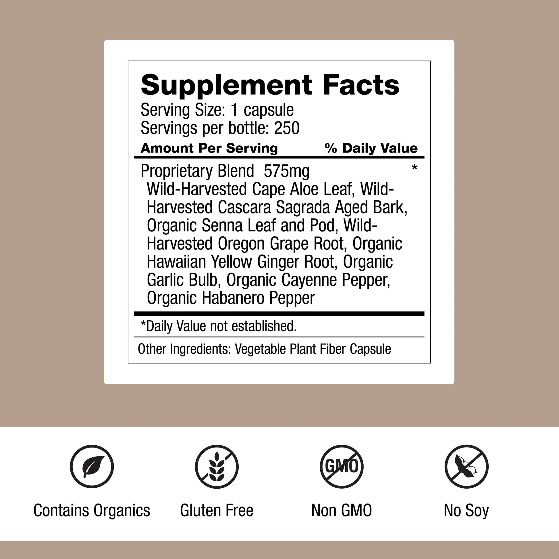Dr. Schulze's Intestinal Formula #1 - Bowel Movement Supplement for Colon Health Support - Bloating & Constipation Aid - Intestinal Cleanse - All-Natural - Plant-Based - Vegan - 250 Count Dr. Schulze's buy supplements canada