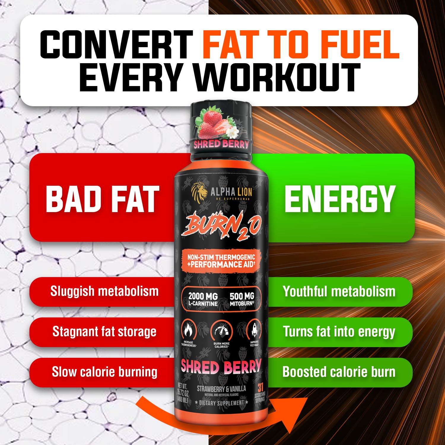 ALPHA LION Burn2O L-Carnitine Liquid 2000mg, Premium Liquid Fat Burner & Pre-Workout Supplement for Men & Women - Natural Energy & Metabolism Booster ALPHA LION buy supplements canada