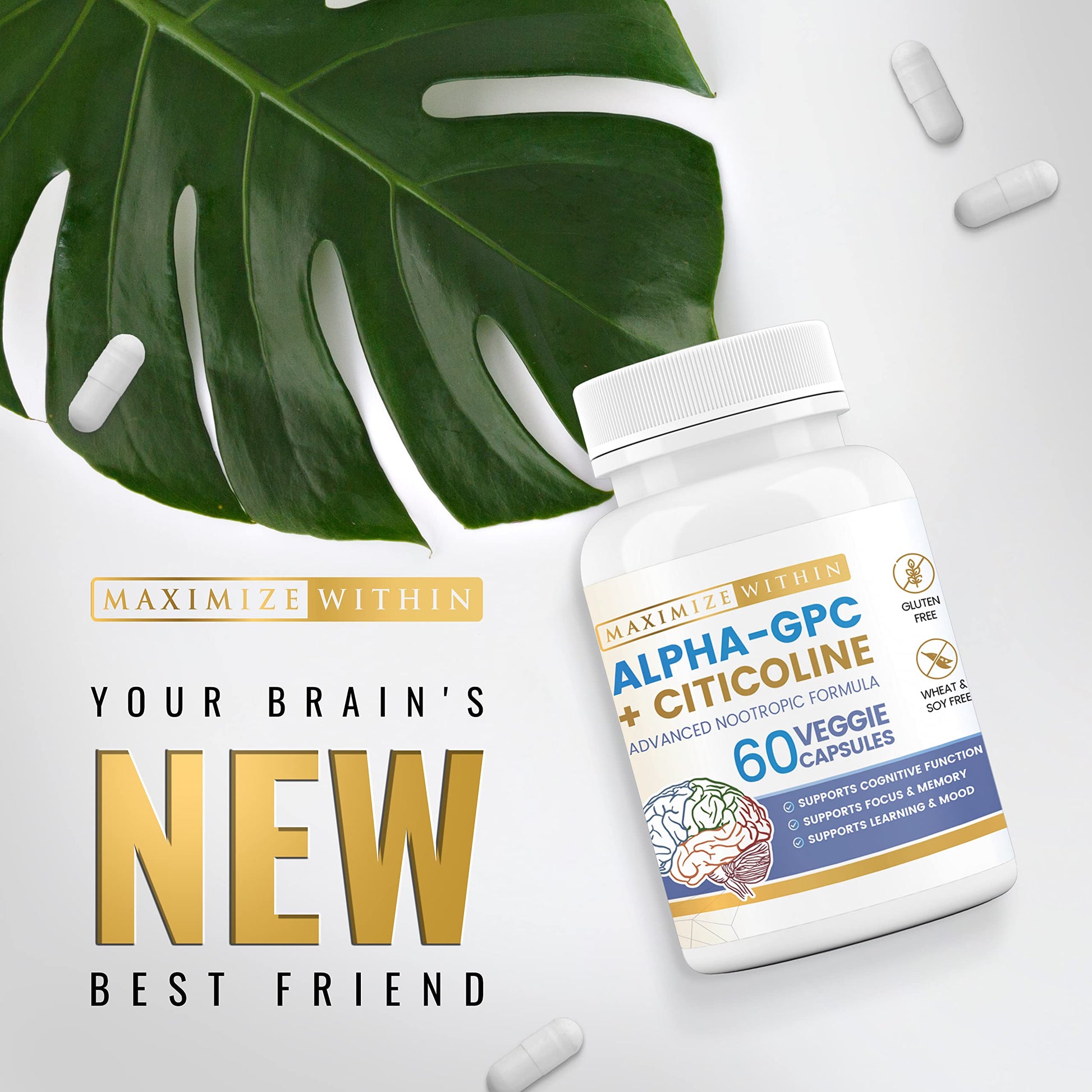 Maximize Within Alpha GPC + Citicoline 60 Ct, 1600mg Concentrated Formula- 99%+Highly Purified & Bioavailable Nootropic-Cognitive Enhancer, Supports Memory, Brain Function, Boosts Focus, Mood & Energy Maximize Within buy supplements canada