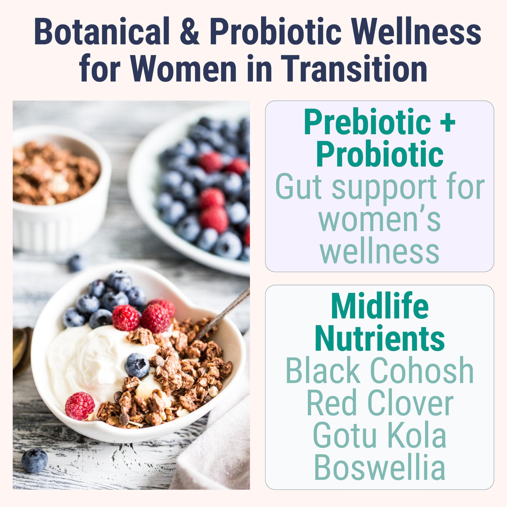 Boswellia Serrata Black Cohosh Gotu Kola Red Clover Extract Complex Gummies w. Probiotic Fiber (Chicory Root Inulin) MSM Methylsulfonylmethane, Supplement Alt for Organic Powder Capsules Tincture SHIZAM buy supplements canada