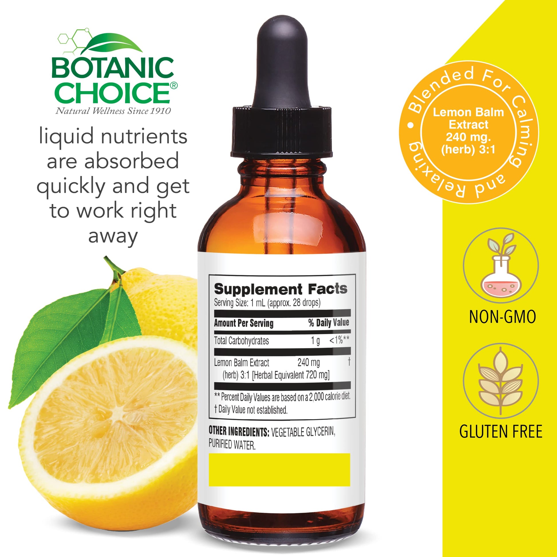 Botanic Choice Mega Fruits and Veggies Blend (60 Capsules) + Lemon Balm Tincture (1 fl oz) Bundle - Energy Balance & Superfood Supplement + Relaxation and Sleep Support Botanic Choice buy supplements canada