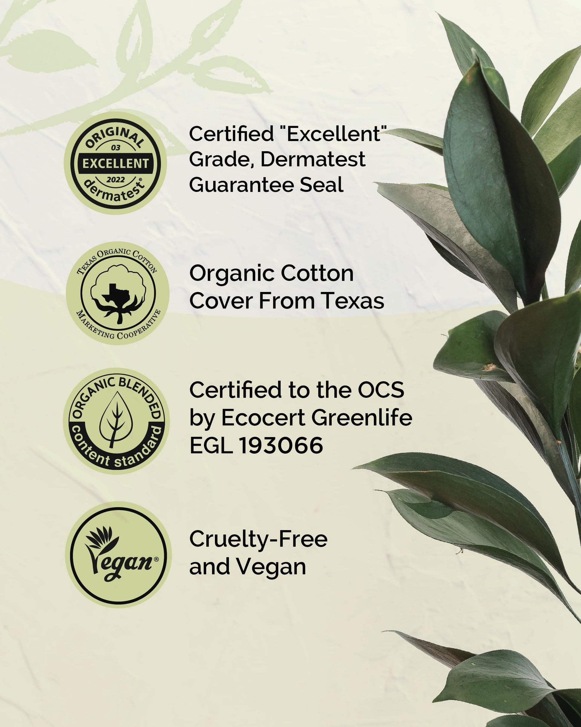 LABON Premium Vegan Organic Sanitary Pads (Regular, 25cm, 32 Counts) - 100% Organic Cotton Cover OCBON buy supplements canada