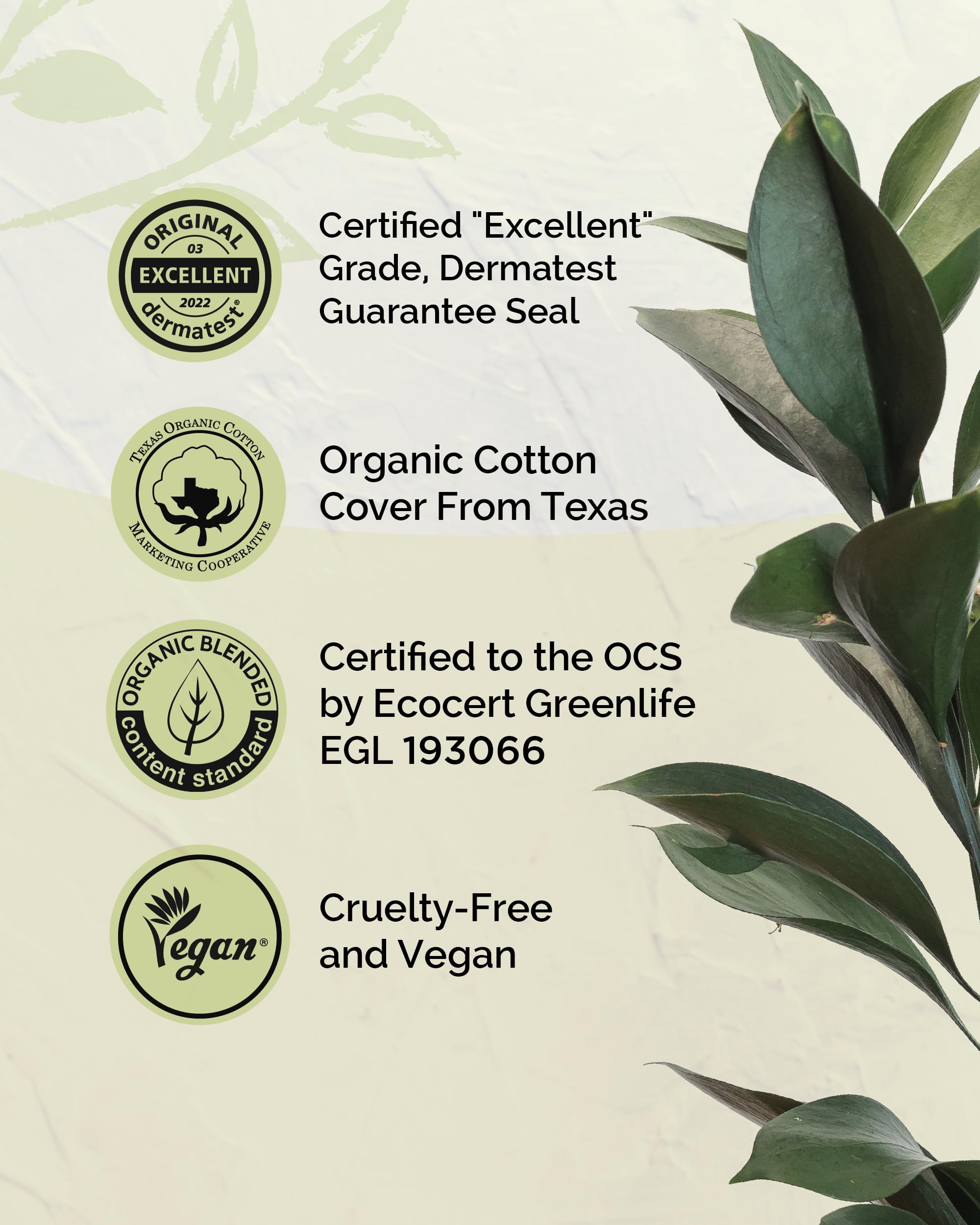 LABON Premium Vegan Organic Sanitary Pads (Regular, 25cm, 32 Counts) - 100% Organic Cotton Cover OCBON buy supplements canada