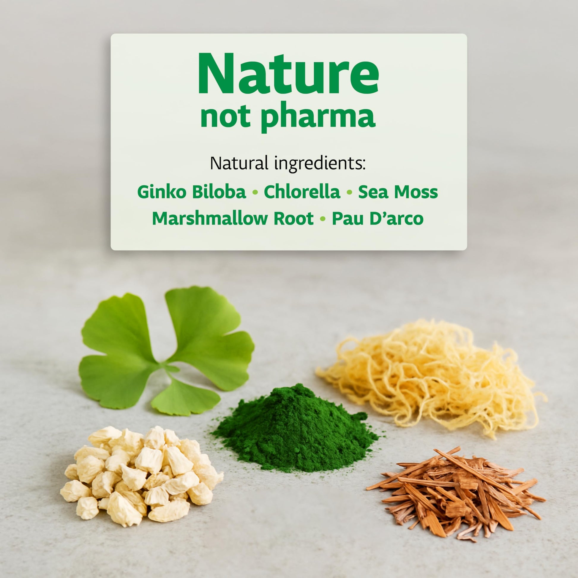 MyHerba Lung Support Supplement - Vegan Formula with Marshmallow Root, Chlorella, Ginkgo Biloba Leaf, Irish Sea Moss & PAU D’Arco - Deep Lung Cleanse, Detox and Immune Support for Adults, 50 Capsules MyHerba buy supplements canada