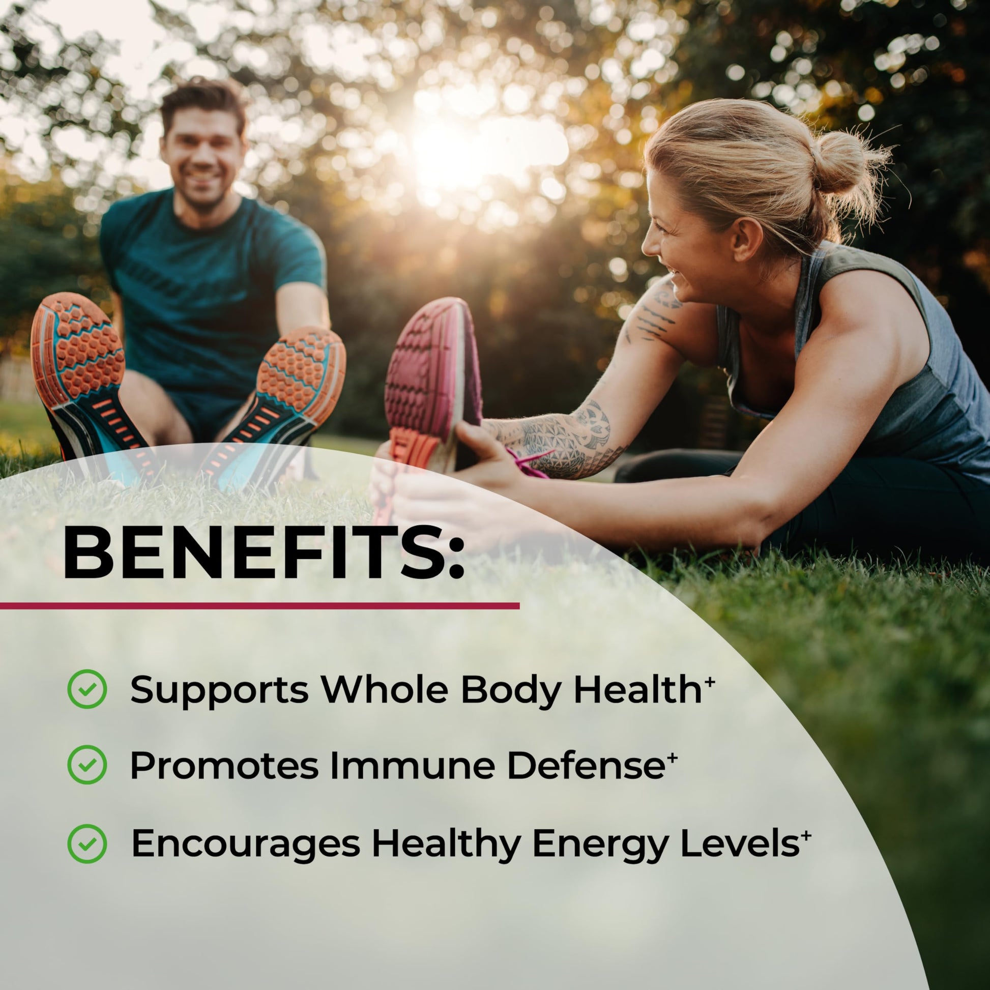 Sugar Free Beet Root Gummies - Nitric Oxide Gummies Infused with Coconut Oil for Highest Absorption - Supports Energy & Whole Body Health BioSchwartz buy supplements canada