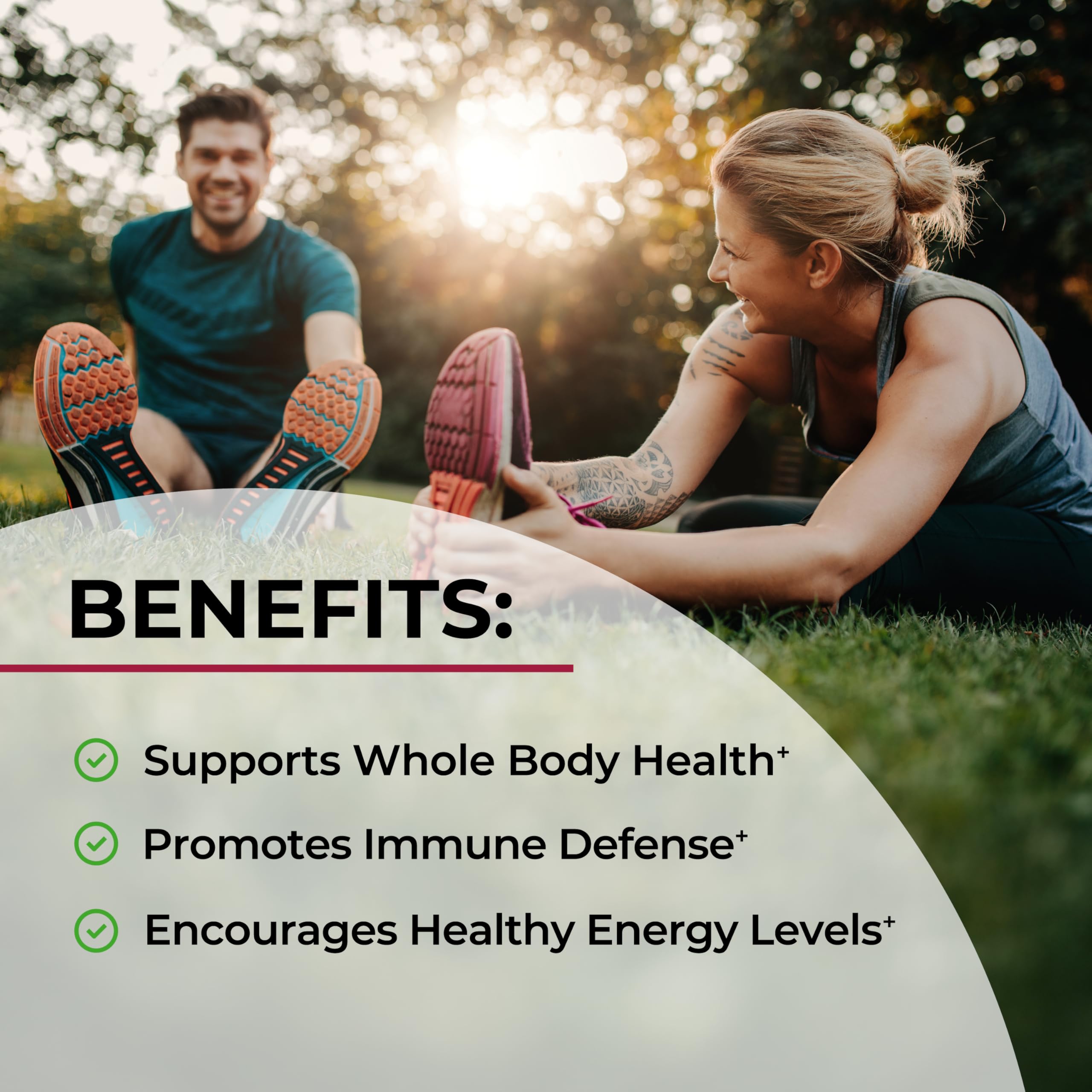 Sugar Free Beet Root Gummies - Nitric Oxide Gummies Infused with Coconut Oil for Highest Absorption - Supports Energy & Whole Body Health BioSchwartz buy supplements canada