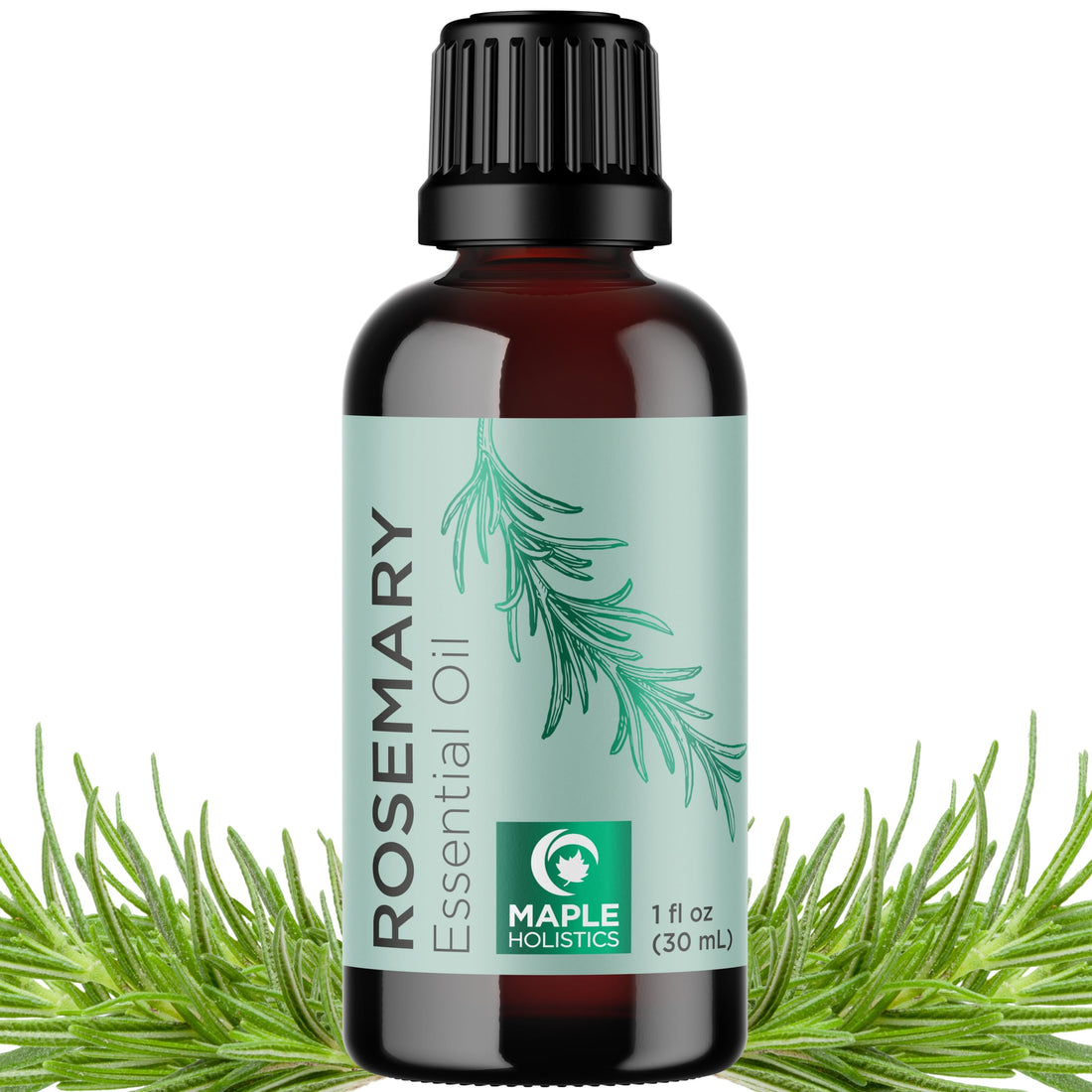 Pure Rosemary Essential Oil for Aromatherapy - Pure Rosemary Oil for Hair Skin and Nails Maple Holistics buy supplements canada