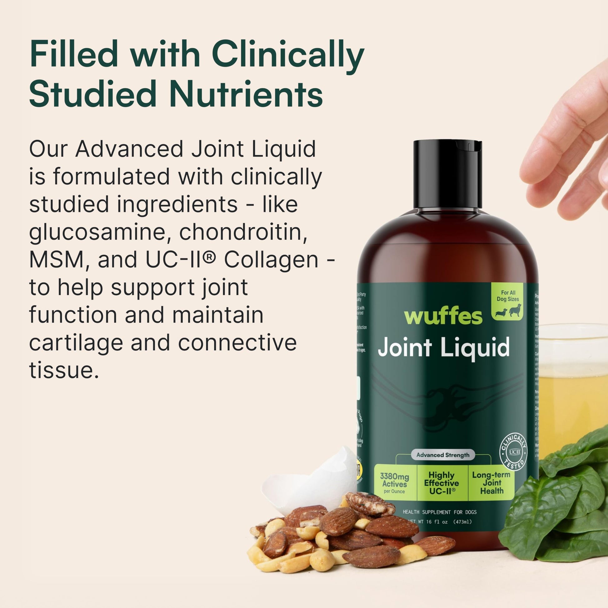 Wuffes Advanced Joint Liquid for Dogs, Hip & Joint Support Supplement with Glucosamine, Chondroitin, UC-II® Collagen, and MSM, for Small & Large Breeds, 16 Oz Wuffes buy supplements canada