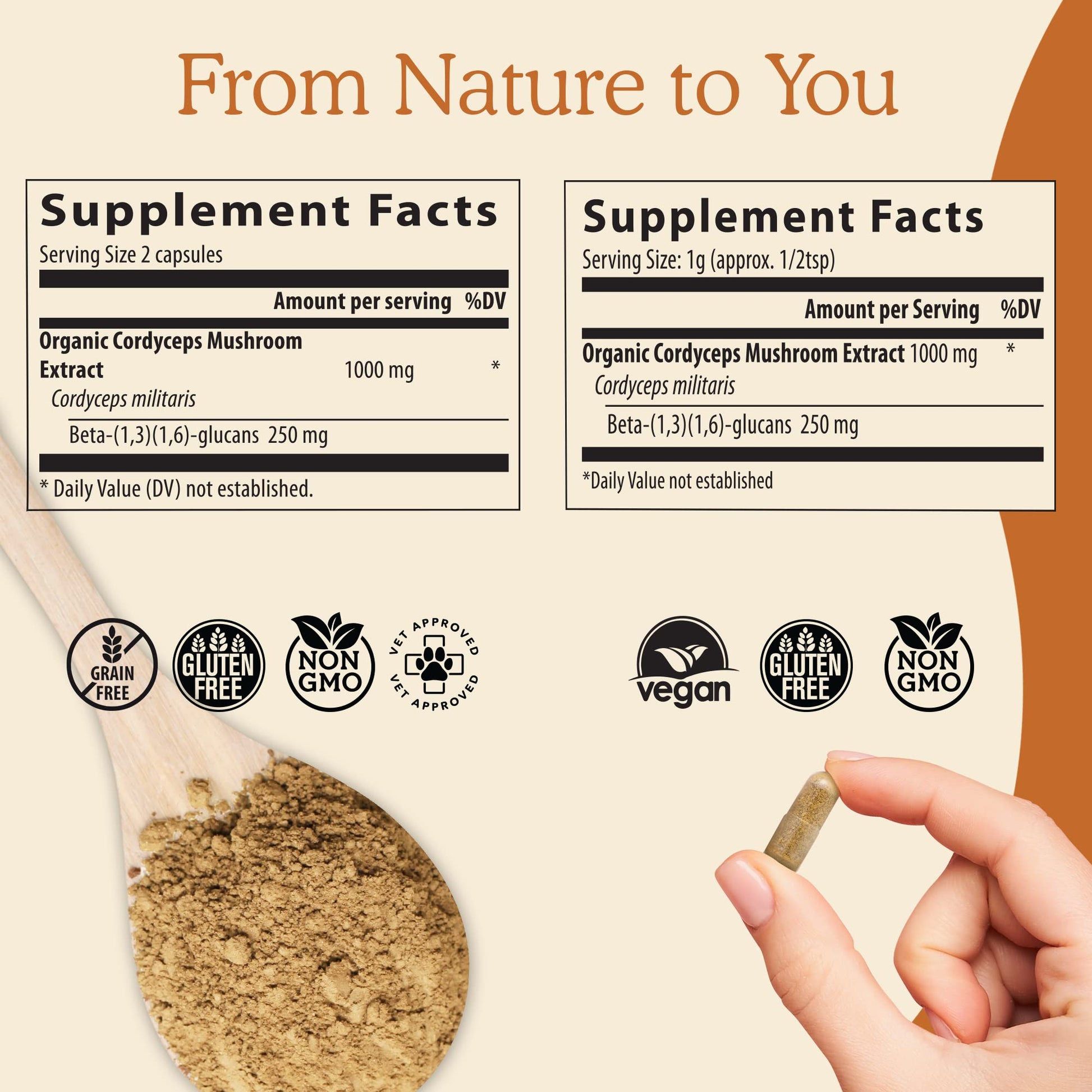 Real Mushrooms Cordyceps Capsules - Performance Mushroom Extract Supplement Real Mushrooms buy supplements canada