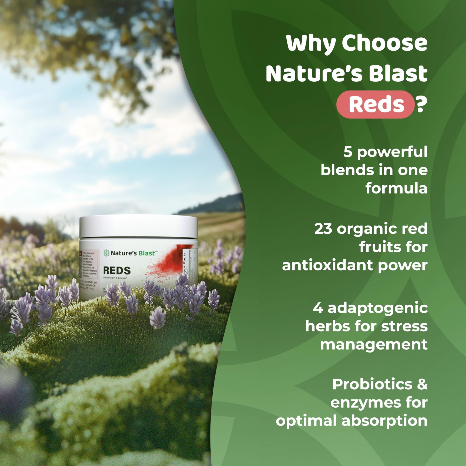NATURES BLAST Reds - Metabolism and Energy Superfood Powder with 23 Red Fruits, 4 Adaptogens, Probiotics & Enzymes - Vegan Antioxidant Blend, 1 Bottle NATURES BLAST buy supplements canada