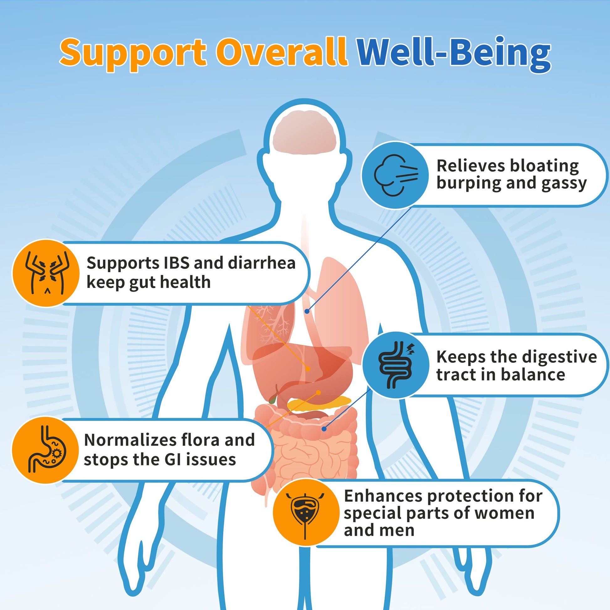 ZEBORA Probiotics for Women, Men and Kids, Prebiotics and Probiotics Powder ZEBORA buy supplements canada