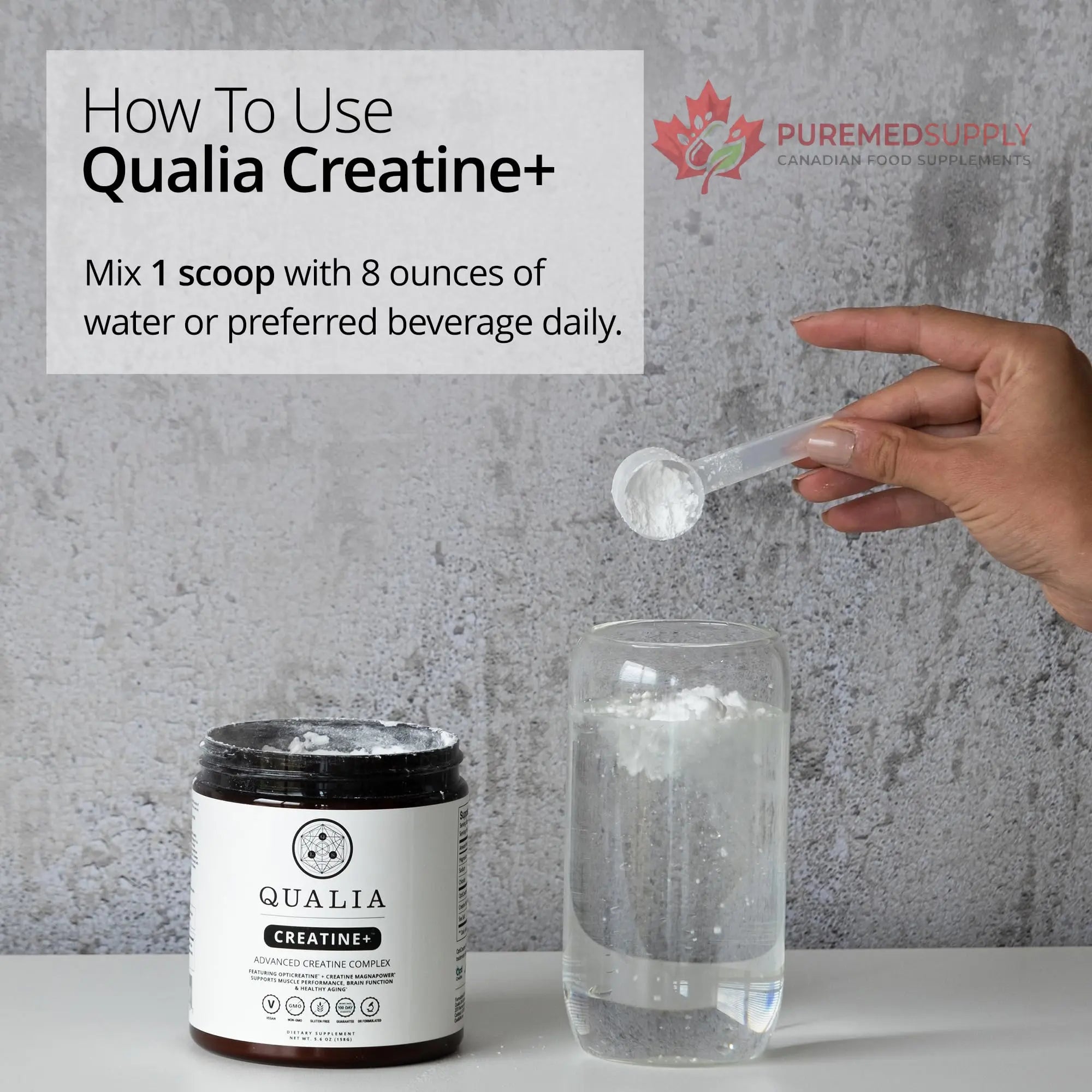 Qualia Creatine | Advanced Creatine Complex | 2 Sources + Magnesium | Optimized Absorption | Muscle Performance, Brain Function, & Healthy Aging (30 Servings) QUALIA LIFE SCIENCES buy supplements canada