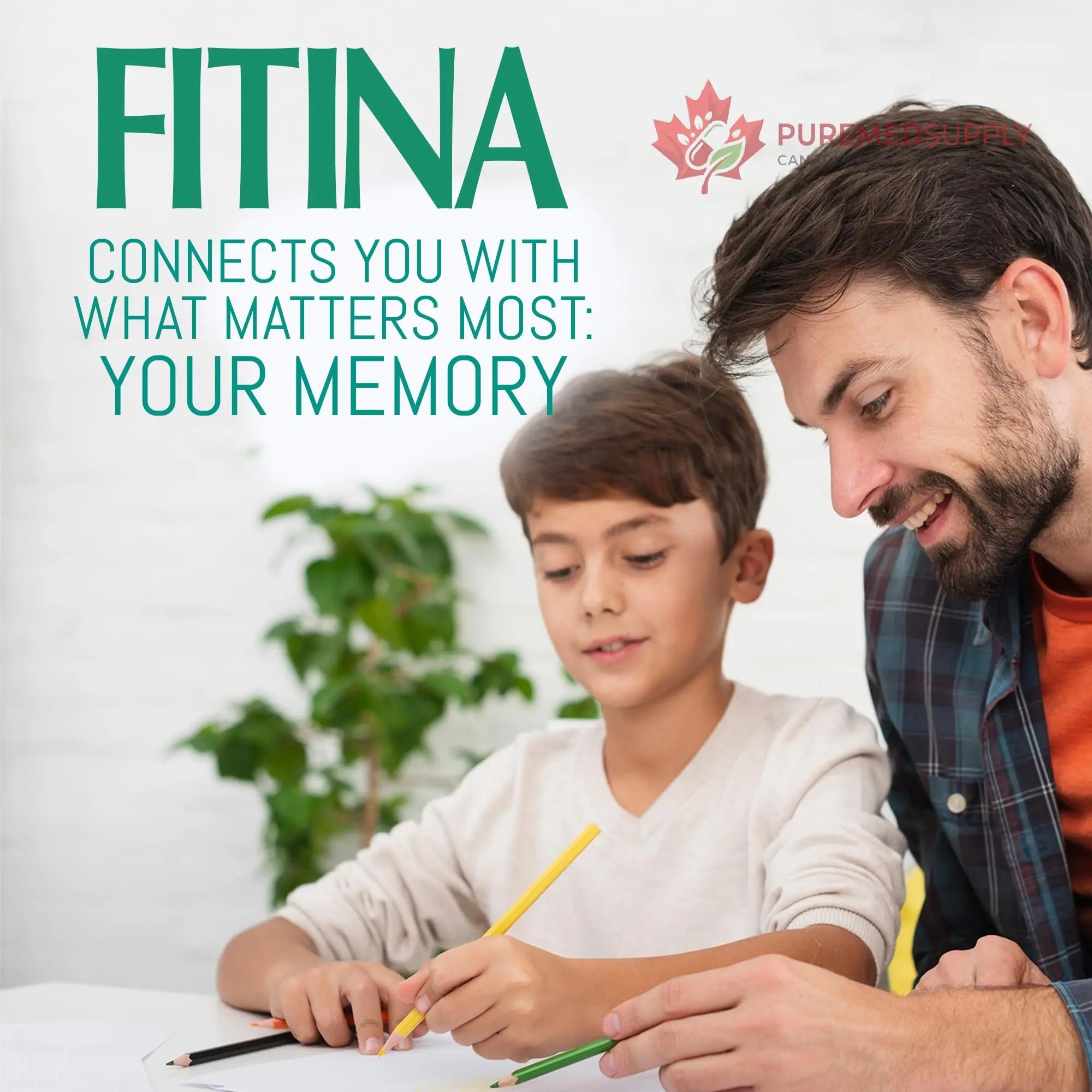 Fitina Brain Supplements for Memory and Focus with Vitamin B6 & Thiamine — High-Dose B Vitamins Nervous System and Cognitive Health Support, Daily Supplement Formula for Adults, 60 Tablets (3-Pack) Fitina buy supplements canada