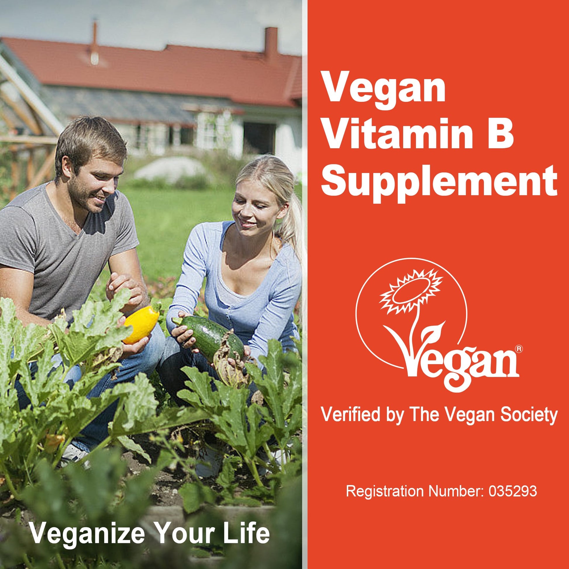 Super Methylated Vitamin B Complex Gummies - All B Vitamins + Omega-3, Magnesium, CoQ10, Ashwagandha,Vitamin C, TMG- For Women Men- Methyl B12 2000 mcg, Methylfolate LILICARE buy supplements canada