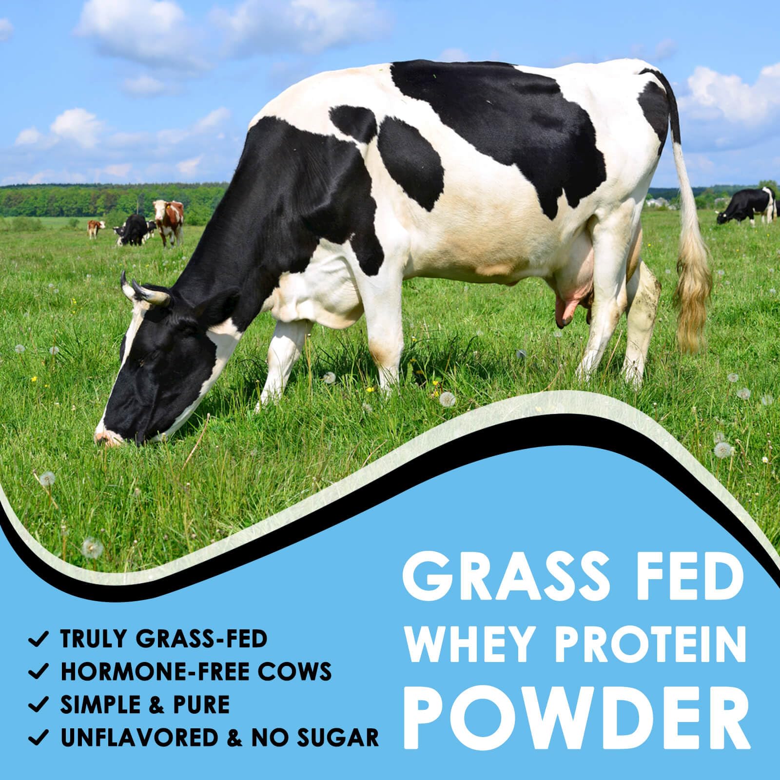 NATURE TARGET Unflavored Whey Protein Isolate - 26g Protein, 0g Sugar, Keto Friendly - No rBGH, Grass Fed - Perfect for Coffee, Baking & Smoothies - 1.10 LB (16 Servings) NATURE TARGET buy supplements canada