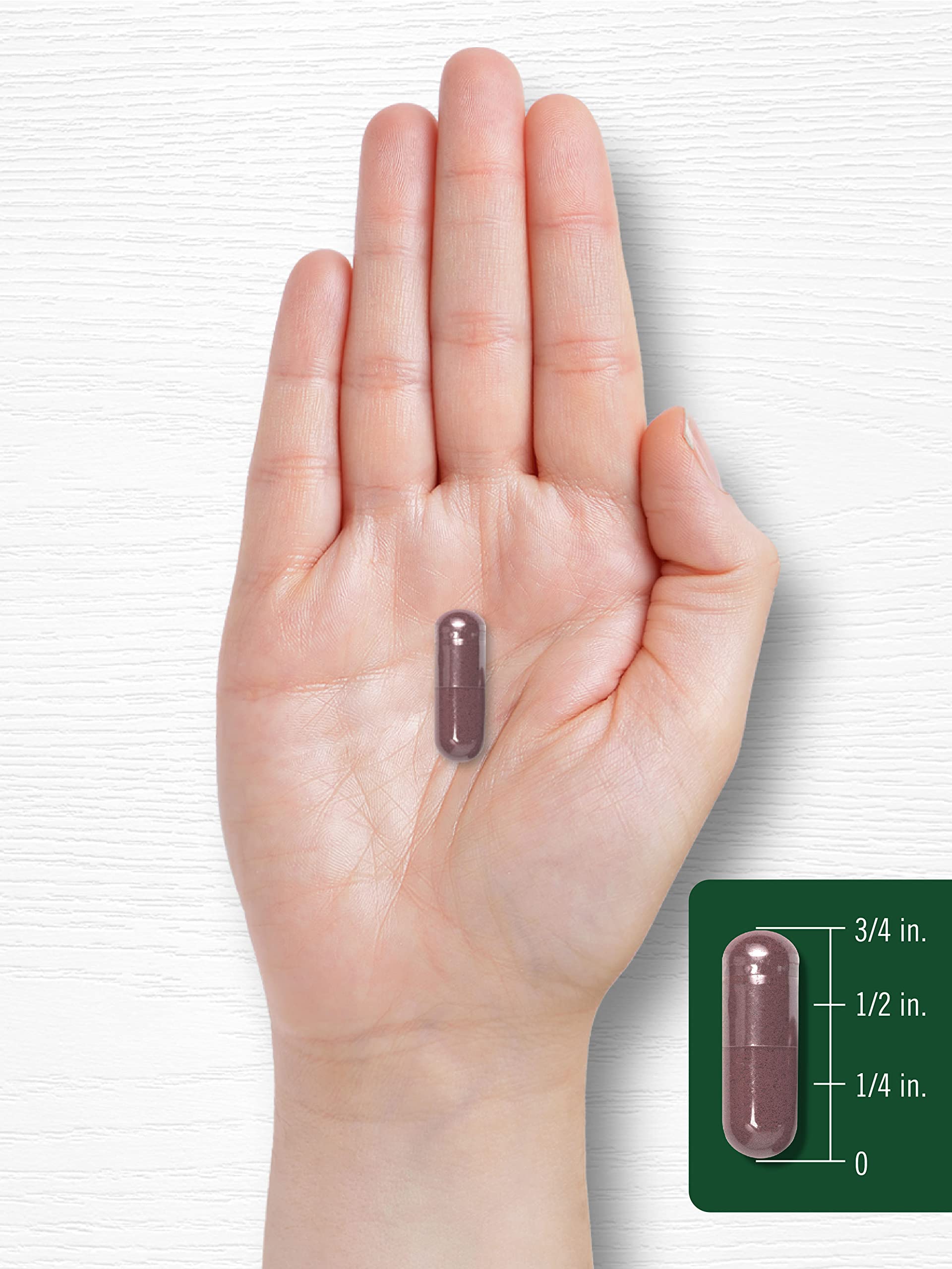Carlyle Grape Seed Extract 4,000mg | 120 Quick Release Capsules | Standardized Extract Carlyle buy supplements canada