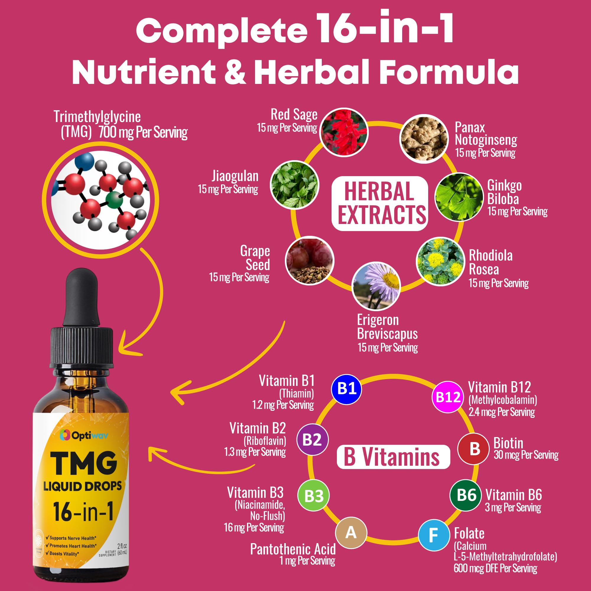 Optiwav TMG Trimethylglycine Liquid Drops - Betaine High Absorption Methylated Vitamins Supplement for Homocysteine Methylation & Heart Health Support - Orange Flavor Gluten Free Vegan - 2 fl oz Optiwav buy supplements canada