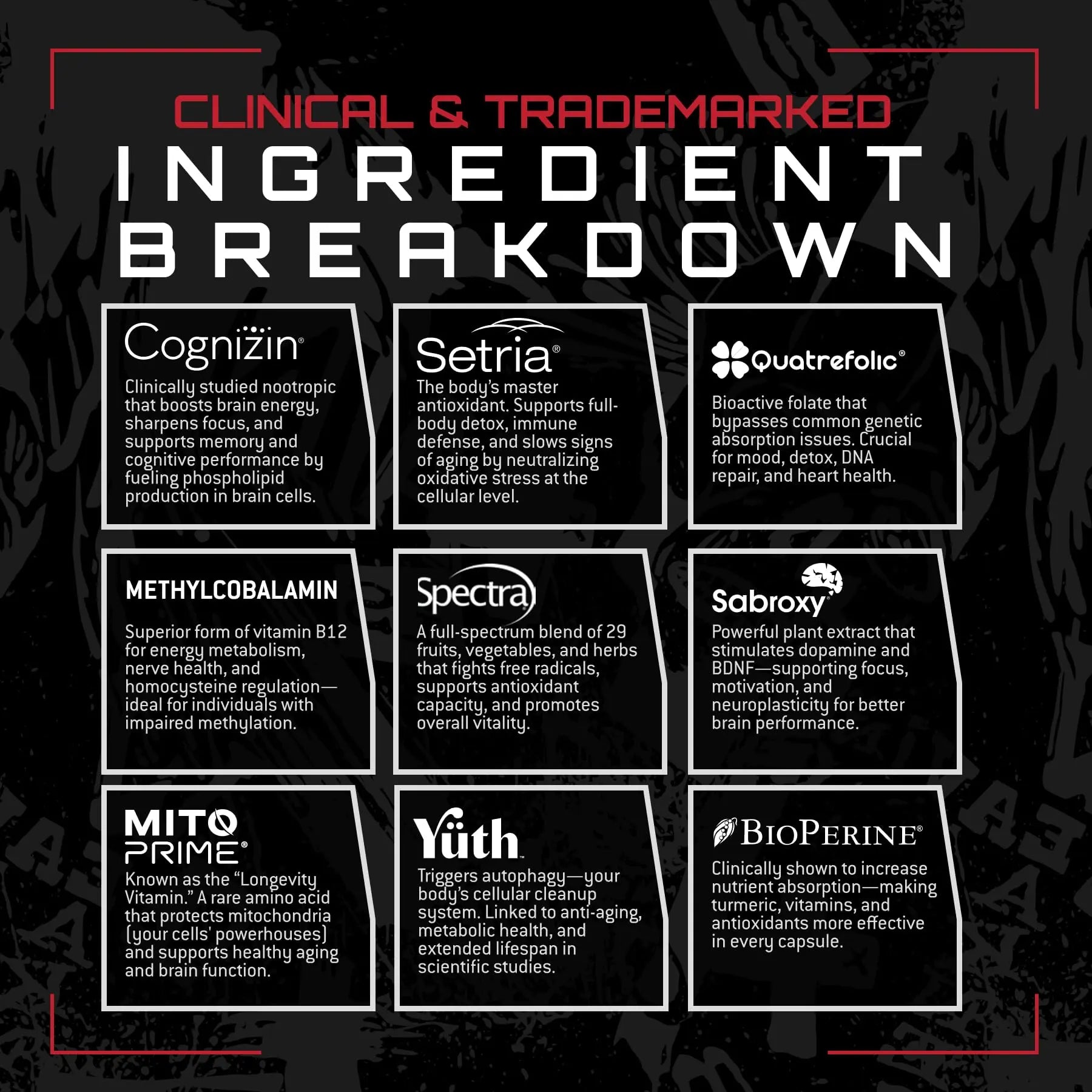 Unmatched Longevity Multi+ | Complete Daily Health Support | Methylated Vitamins & Minerals, Omega-3s, Nootropics, & Longevity Agents | Unmatched buy supplements canada