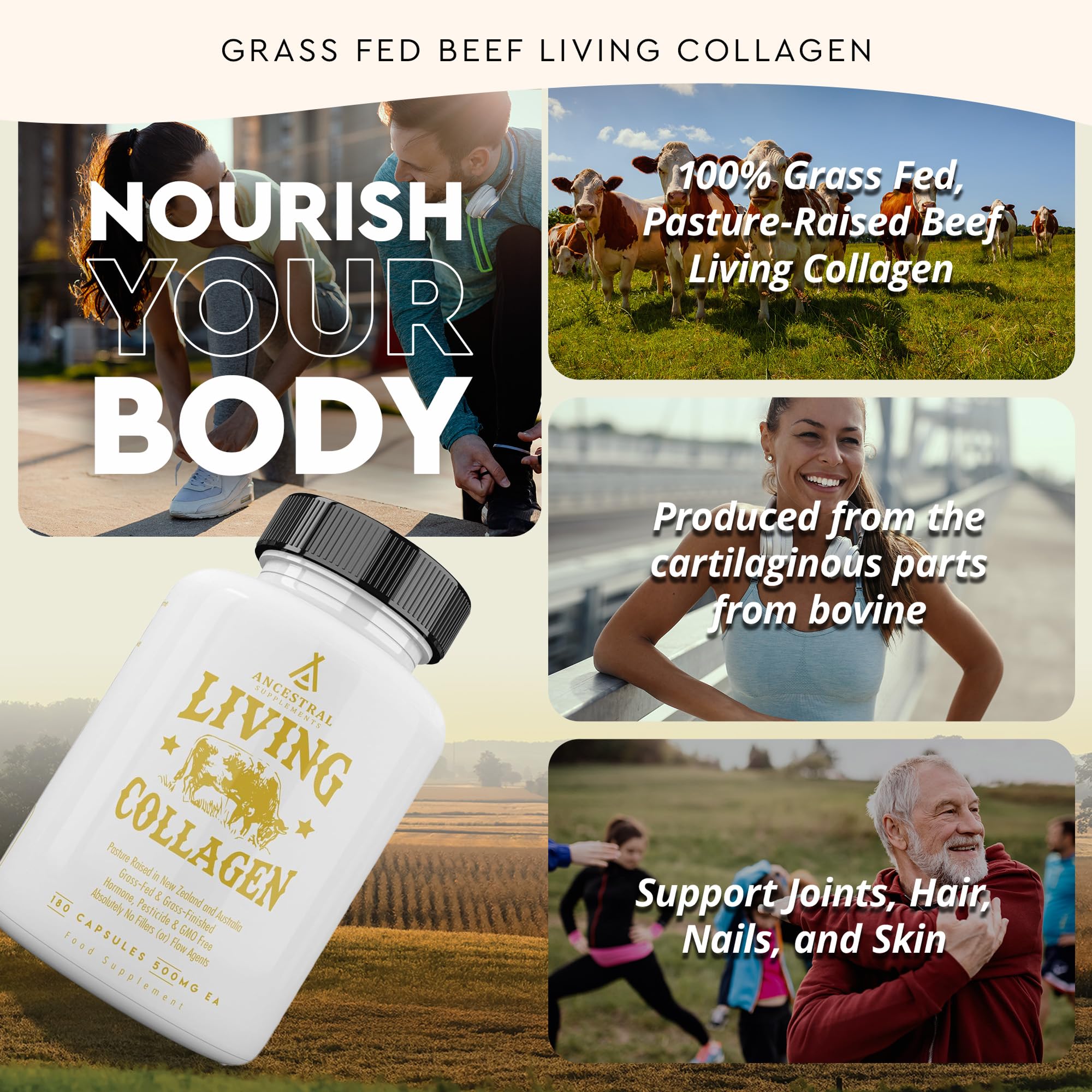 Ancestral Supplements Grass Fed Beef Living Collagen Nutritional Powder Supplement, 3000mg, Promotes Healthier, Younger Looking Skin, Hair Ancestral Supplements buy supplements canada