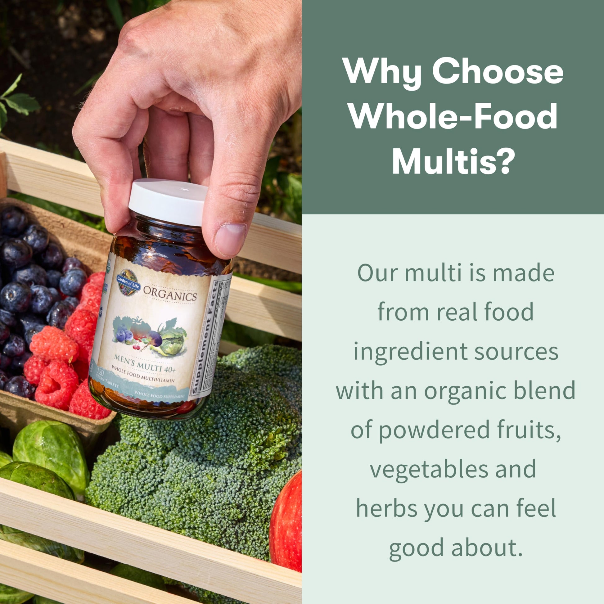 Garden of Life Organics Men's 40+ Multivitamin with Prostate Support, B12 & Vitamins – Vegan Daily Whole Food Multivitamin, Non-GMO, Certified Organic, 120 Tablets Garden of Life buy supplements canada