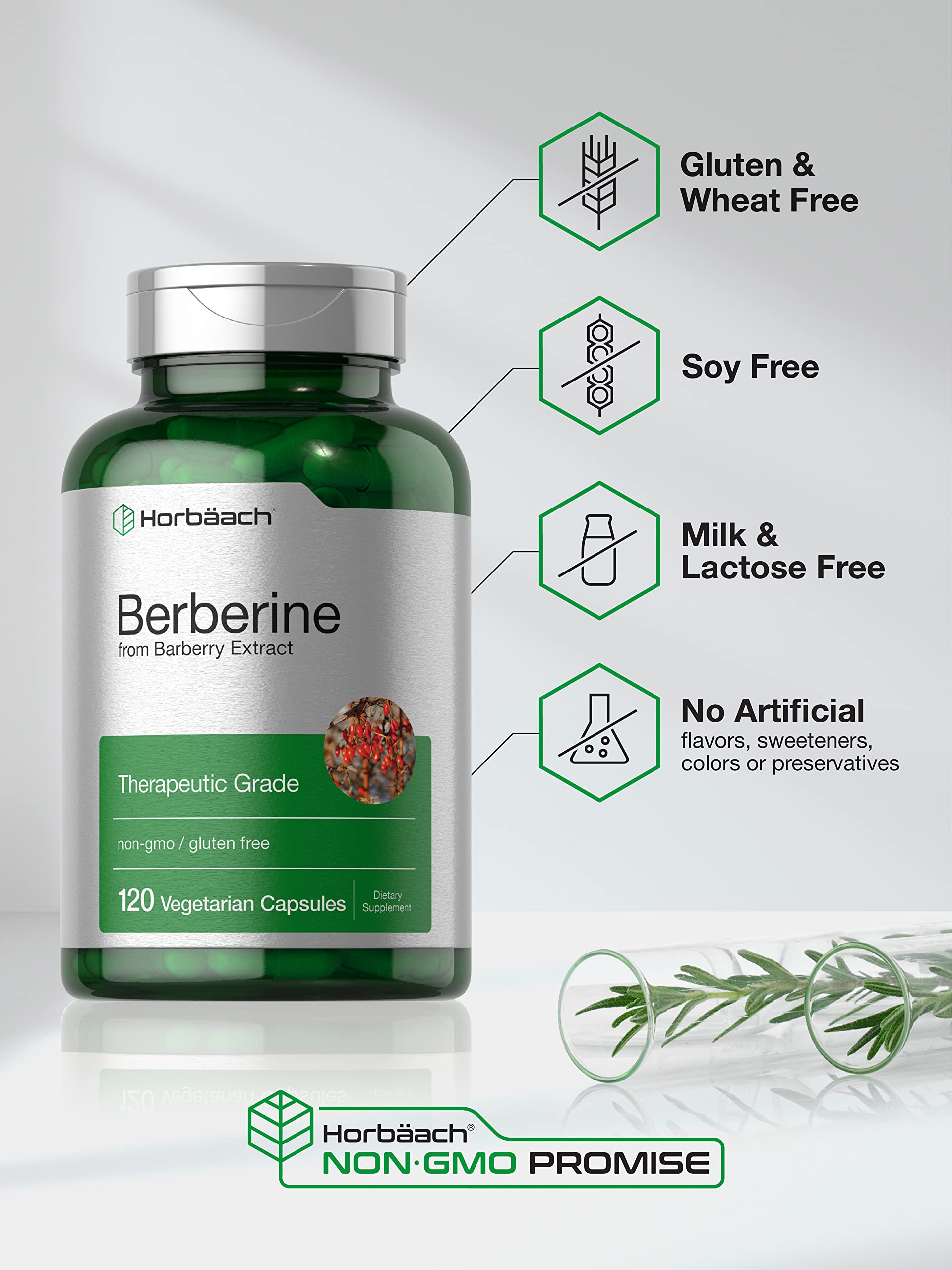 Berberine Supplement | 120 Capsules | Berberine HCl from Barberry Extract | Non-GMO Horbäach buy supplements canada