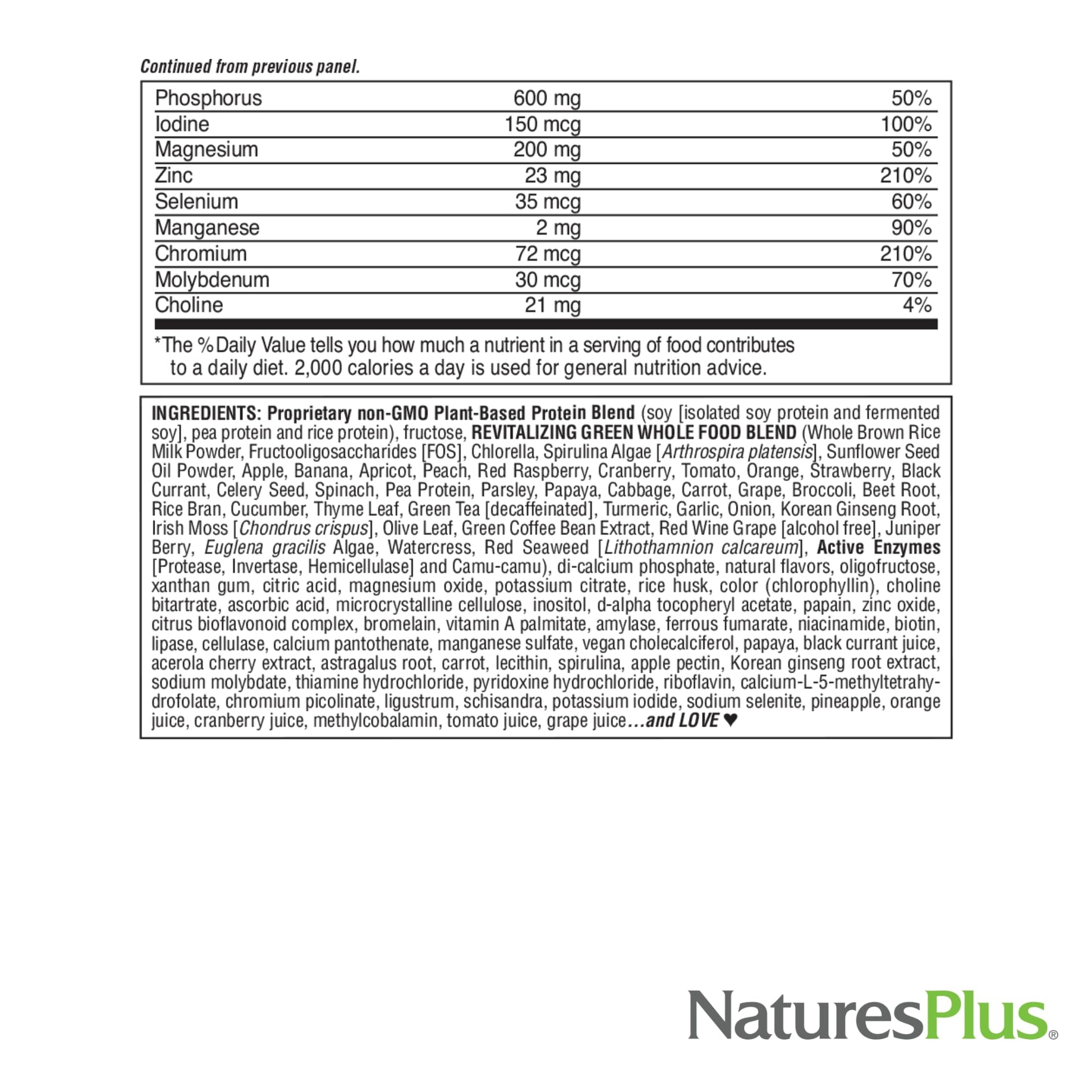 NaturesPlus FRUITEIN Revitalizing Green Foods Shake - 1.3 lbs - Plant-Based Protein (13g/Serving) - Supports Energy & Immune System - Vegetarian, Gluten Free & Non-GMO - 16 Servings NaturesPlus buy supplements canada