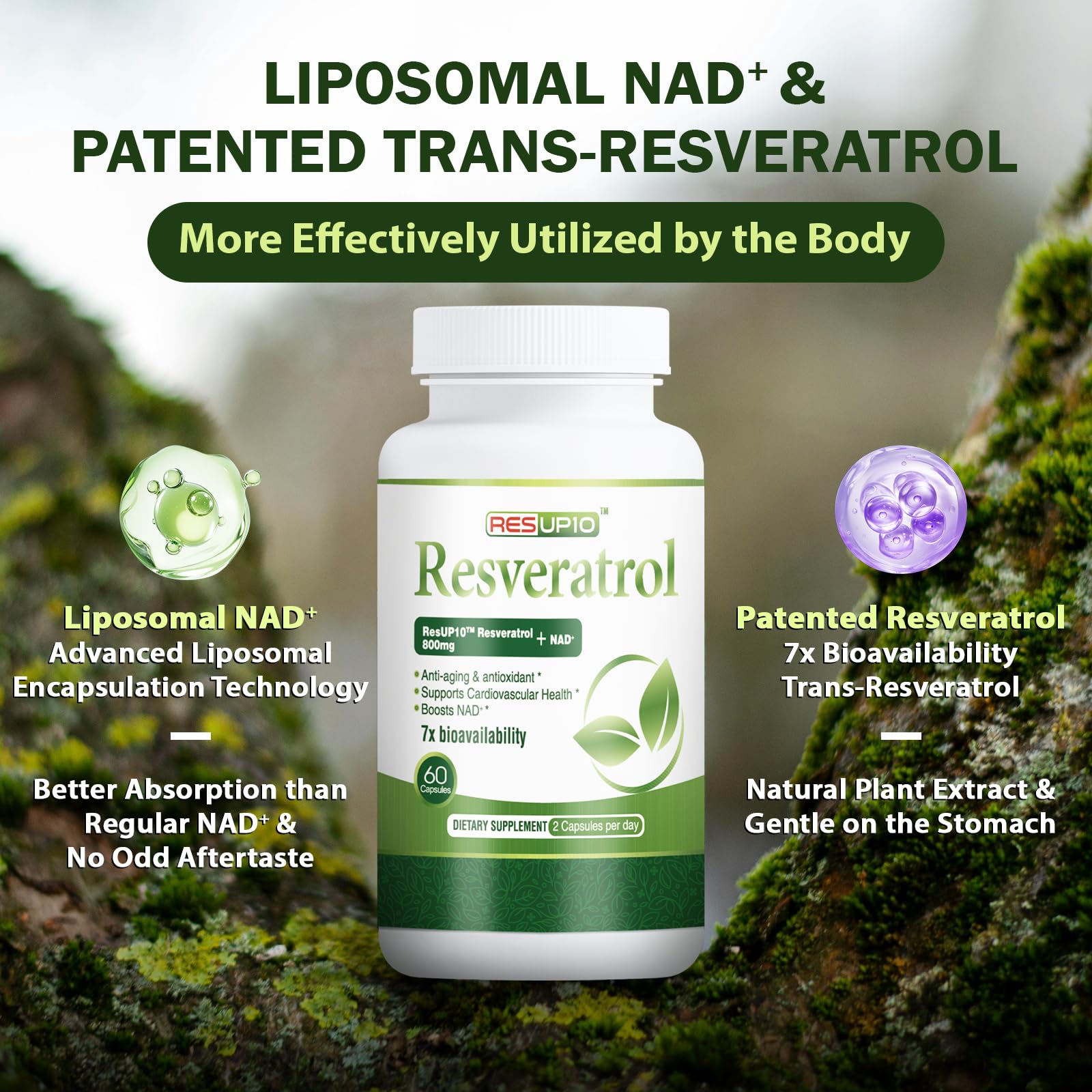 PureBotan Liposomal NAD+ Resveratrol Supplement 1300mg, High Bioavailable Trans Resveratrol ResUP10, with Extra Strength NAD Plus, Support Aging, Cardiovascular Health and Cellular Energy, 60 Capsules PureBotan buy supplements canada