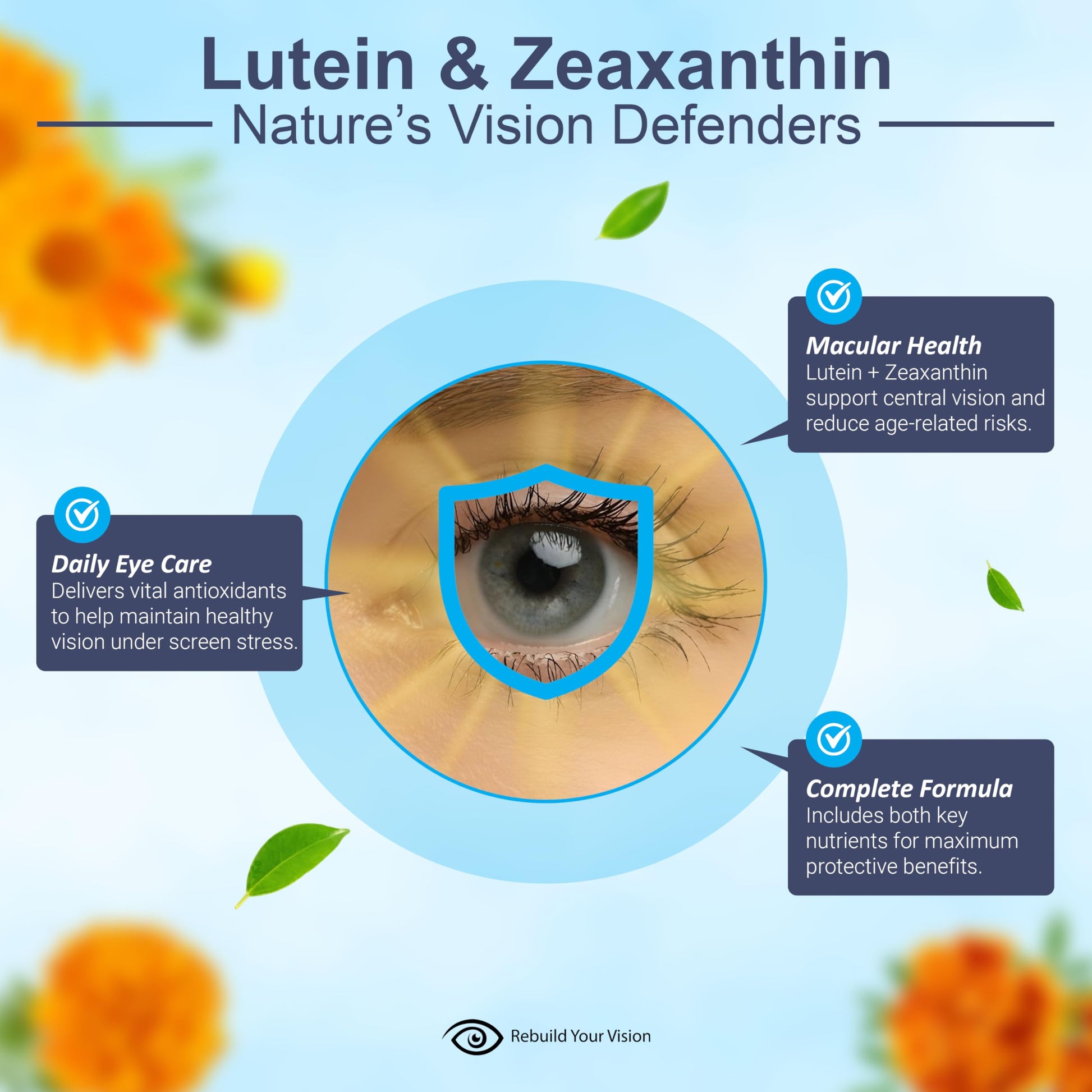 Rebuild Your Vision Ocu-Plus Formula – Eye Health Supplement with Lutein & Zeaxanthin – Supports Visual Clarity, Night Vision & Macular Health – with Bilberry, Ginkgo Biloba & NAC – 60 Capsules Rebuild Your Vision buy supplements canada