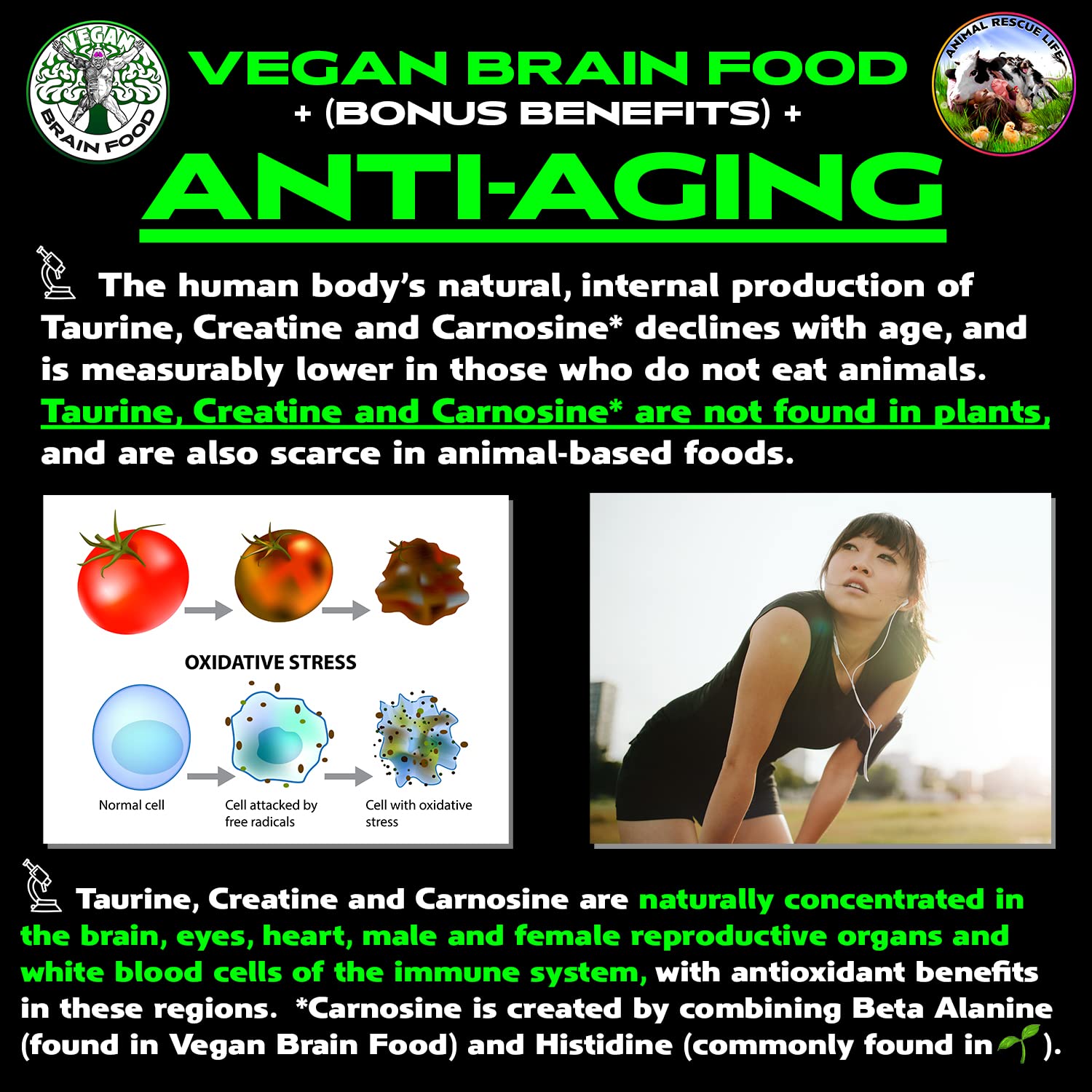 Vegan Brain & Body Boost: The Cherry On Top of A Plant-Based Lifestyle | Working Intelligence | Anti-Aging | Physical Fitness | Vegan Amino Acids - Creatine, Taurine & Beta Alanine | 40 Servings/300g Vegan Brain Food buy supplements canada