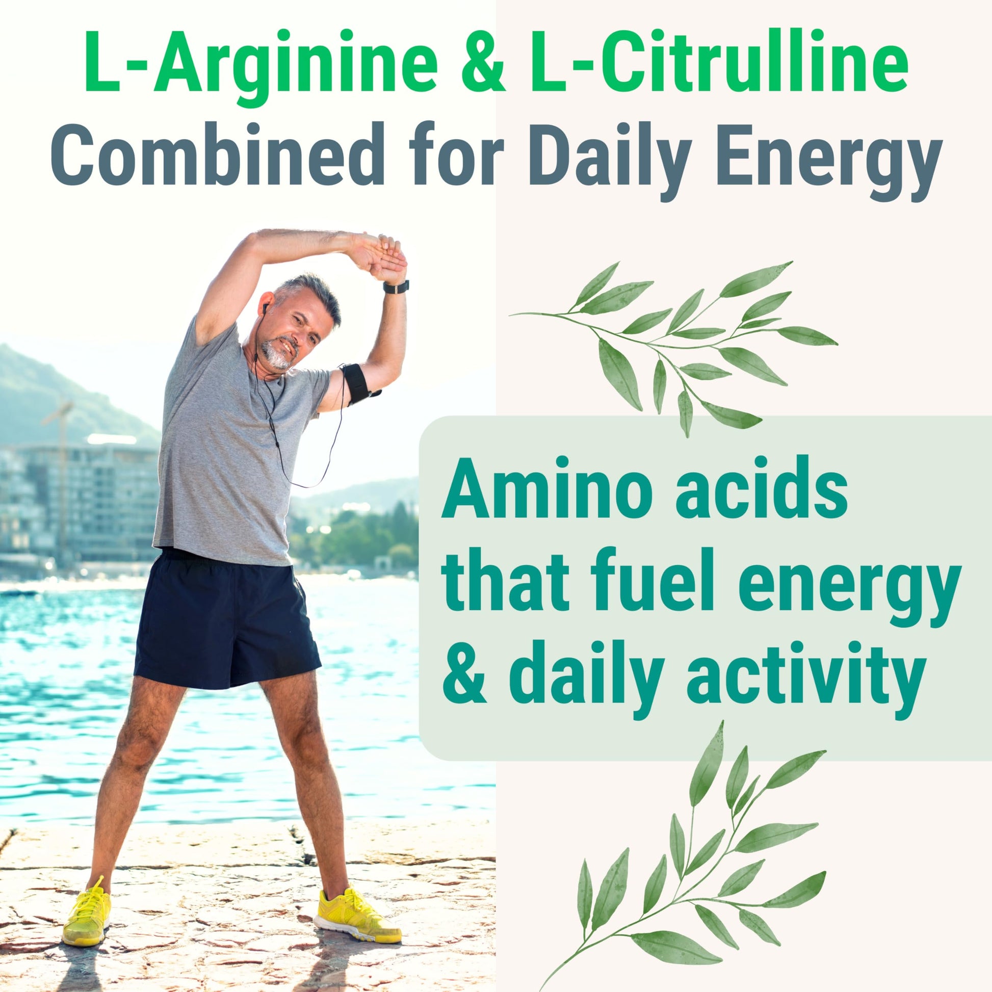 Pine Bark Extract L-Arginine L-Citrulline Beetroot Probiotic Fiber Methylated B Complex Zinc Gummies for Women Men Adults Kids w. Chicory Root Inulin 5-MTHF B6 P5P Powder Capsule Pill Supplement Alt SHIZAM buy supplements canada