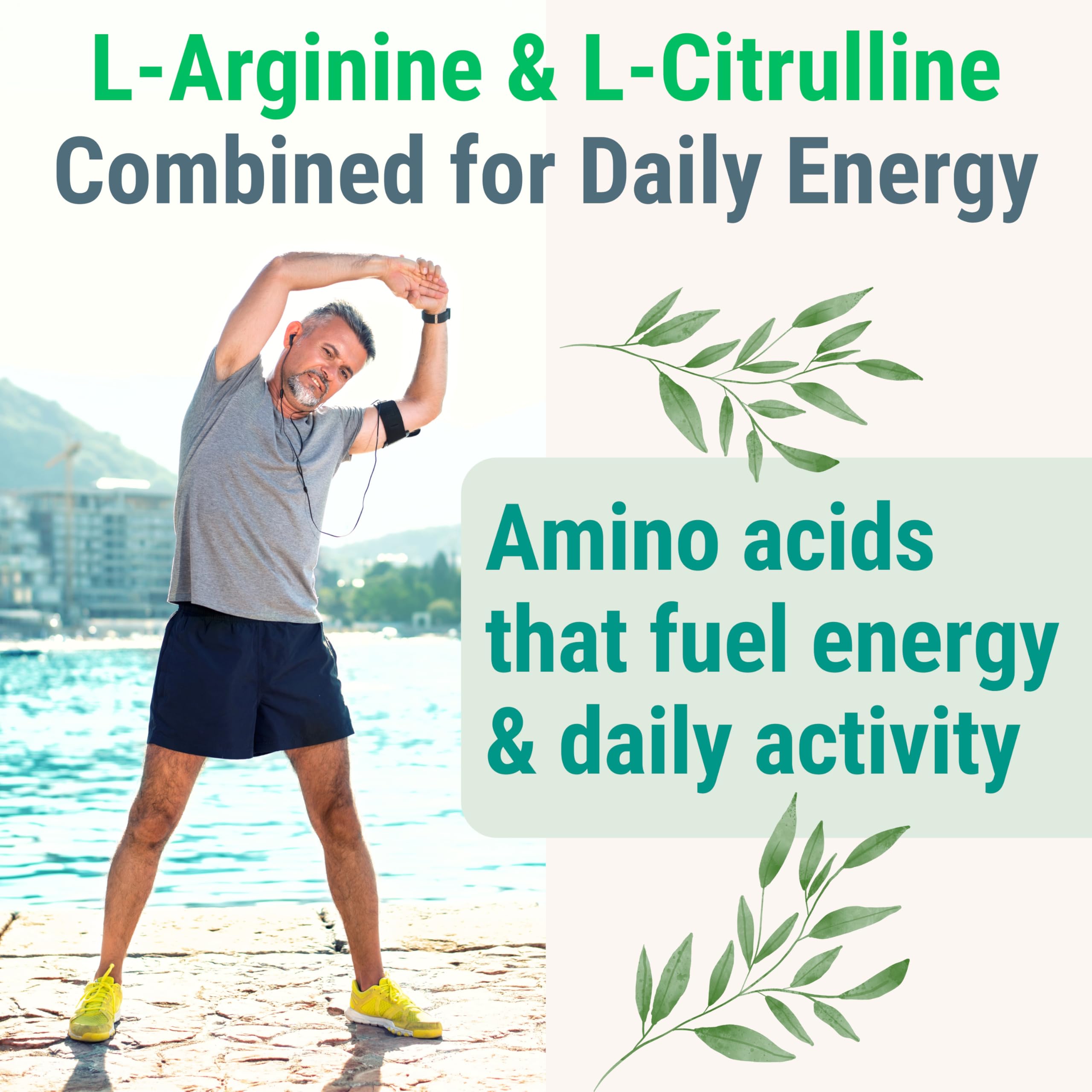 Pine Bark Extract L-Arginine L-Citrulline Beetroot Probiotic Fiber Methylated B Complex Zinc Gummies for Women Men Adults Kids w. Chicory Root Inulin 5-MTHF B6 P5P Powder Capsule Pill Supplement Alt SHIZAM buy supplements canada