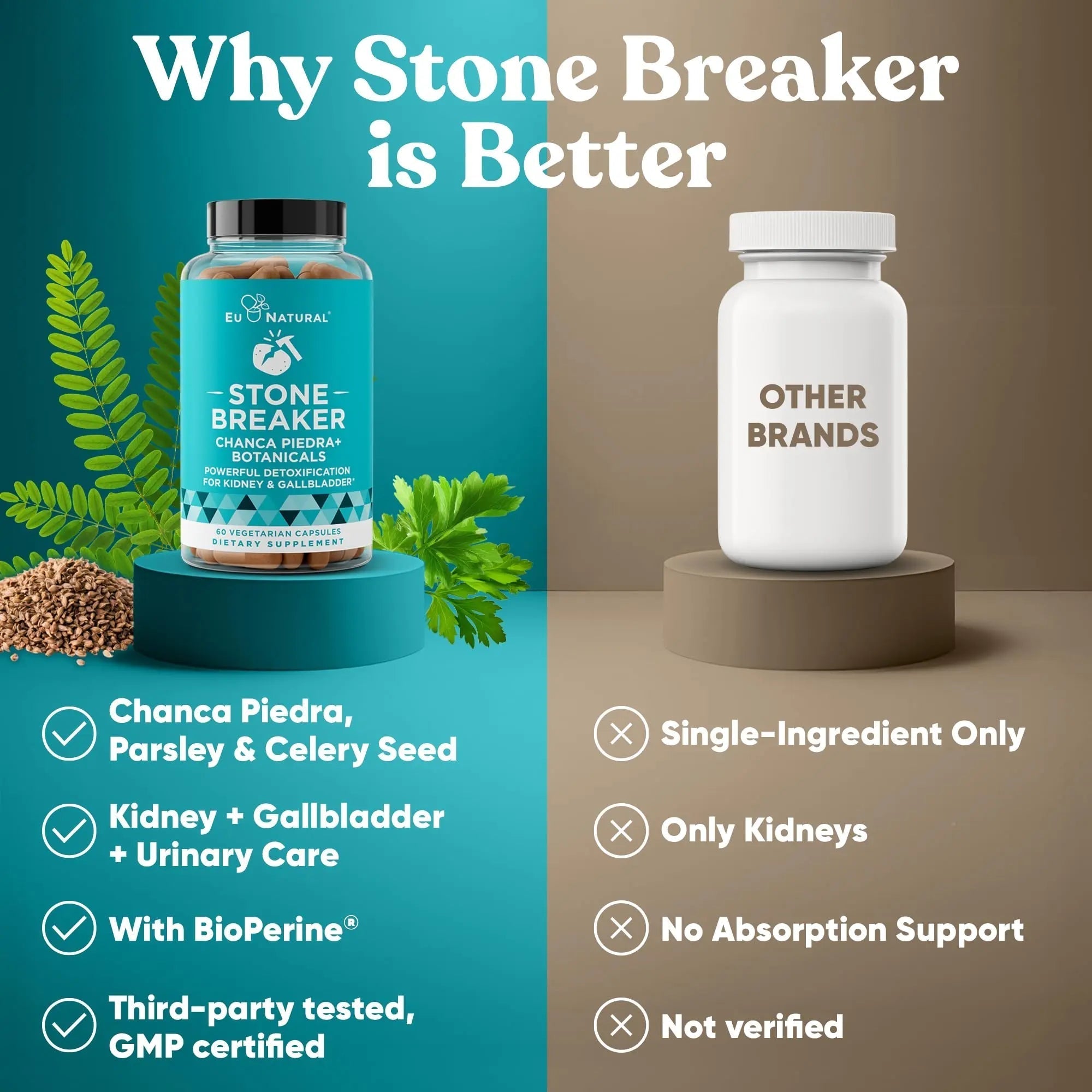 Chanca Piedra Stone Breaker - The Original Stone Breaking Formula with Celery Seed & Parsley - Supports Kidney, Gallbladder & Urinary Tract Cleansing to Help Flush Impurities - 60 Vegetarian Capsules Eu Natural buy supplements canada