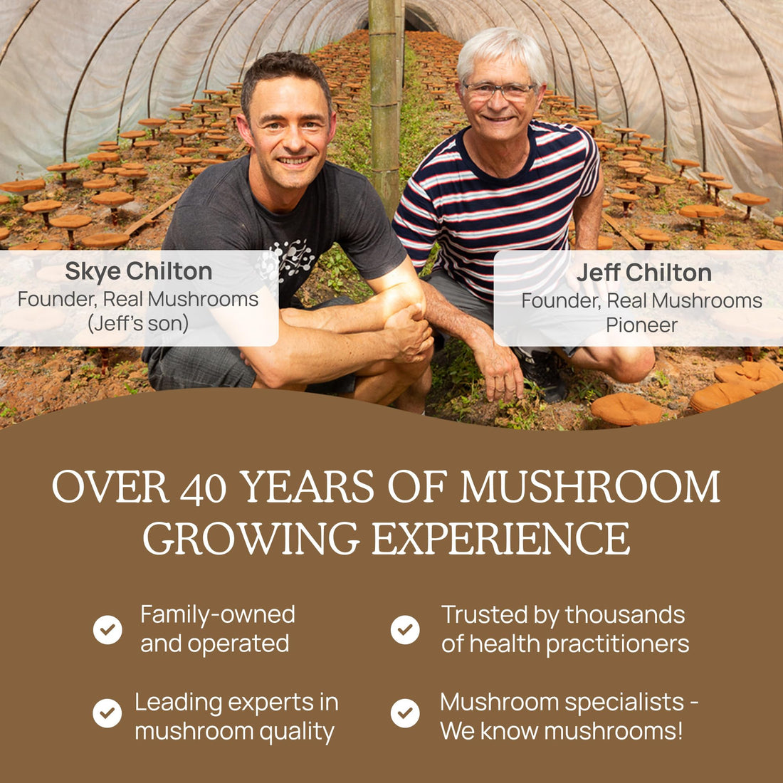 Real Mushrooms Lion’s Mane Powder - Organic Lions Mane Mushroom Extract Real Mushrooms buy supplements canada