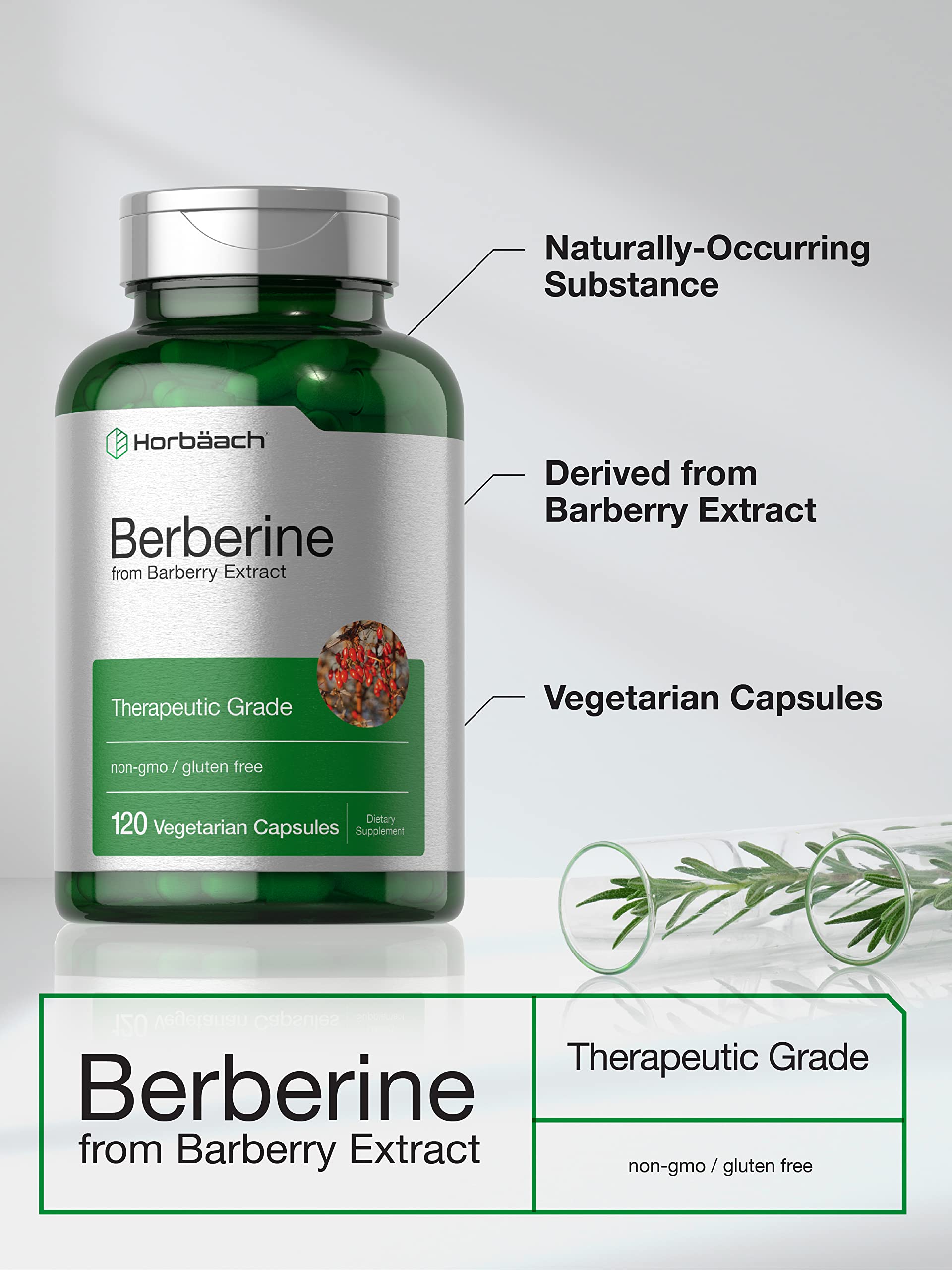 Berberine Supplement | 120 Capsules | Berberine HCl from Barberry Extract | Non-GMO Horbäach buy supplements canada